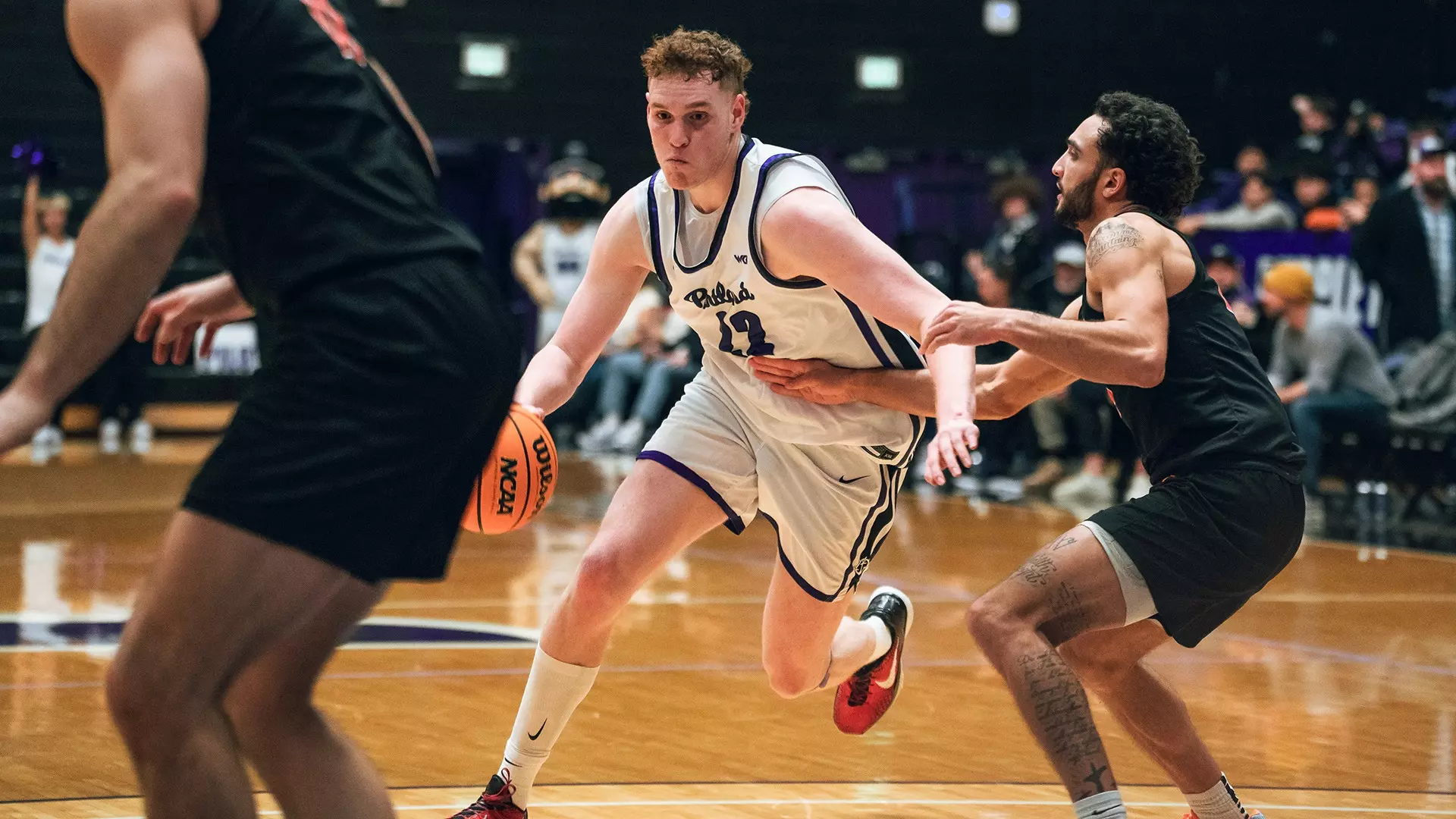 Austin Rapp - Men's Basketball - University of Portland Athletics