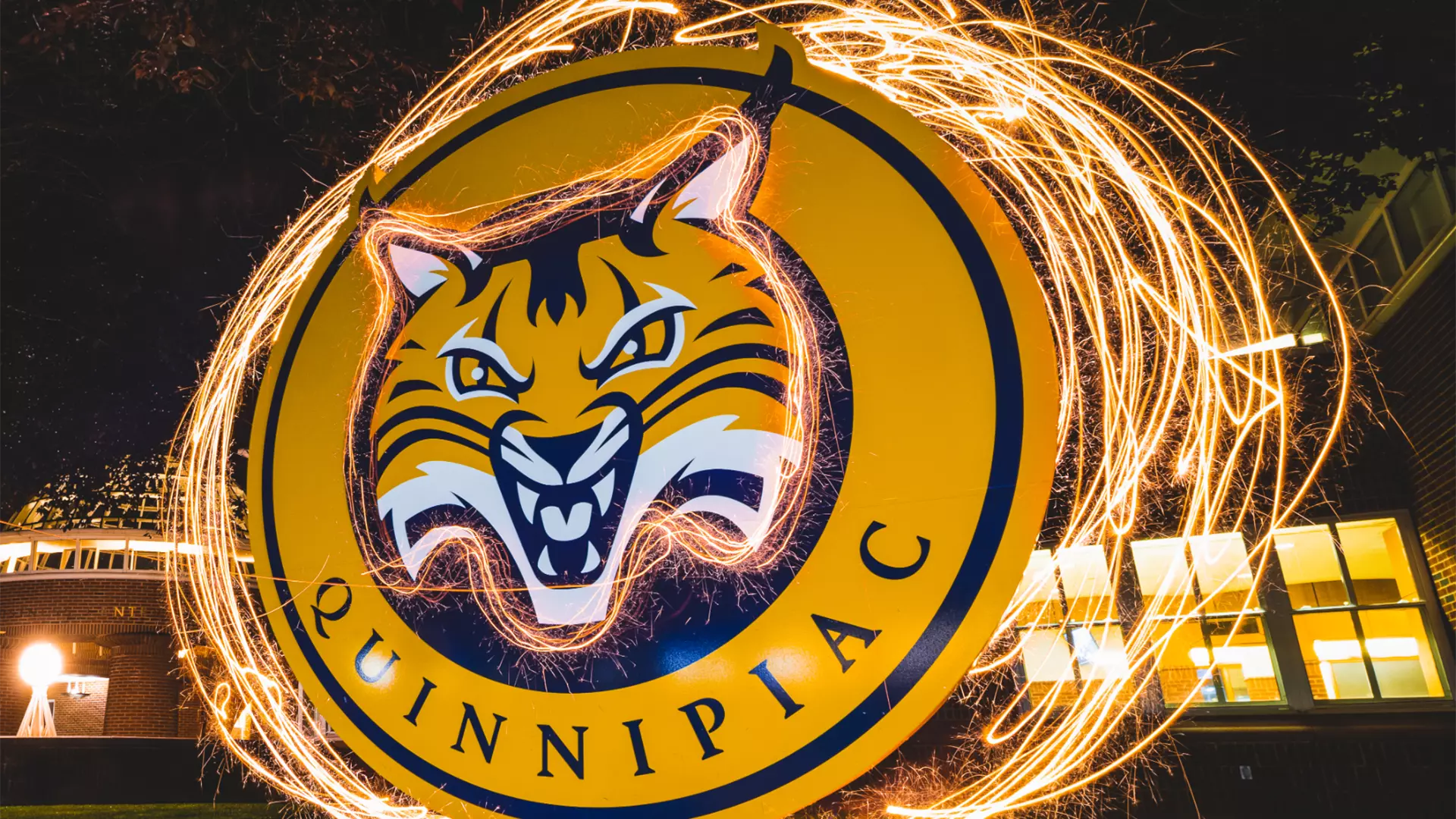 5 Quinnipiac Programs Achieve Perfect Academic Progress Rates (APR