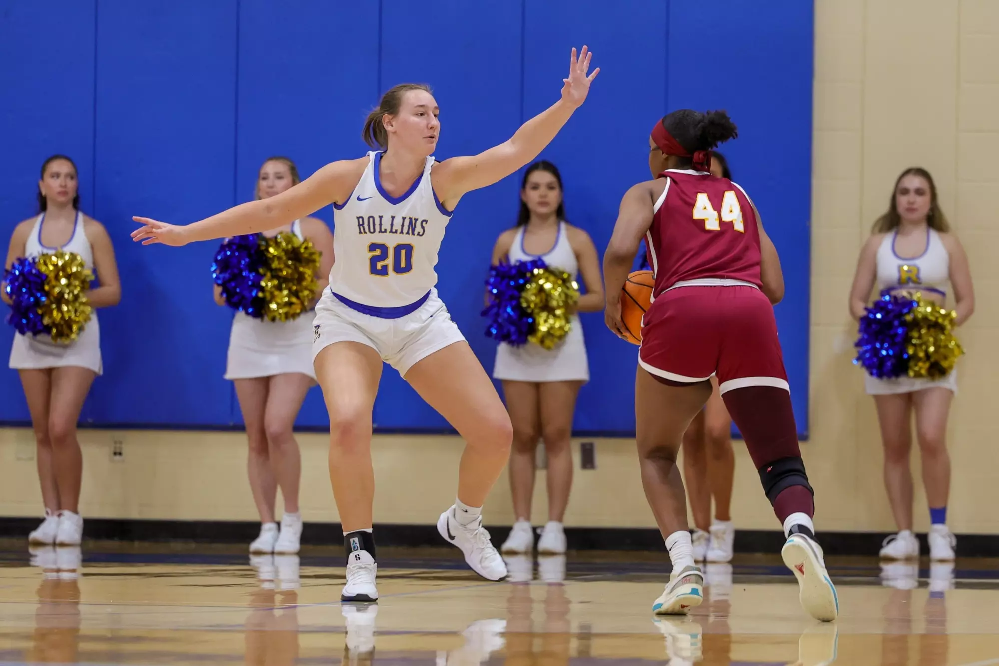 Tampa Too Much for Tars Rollins College