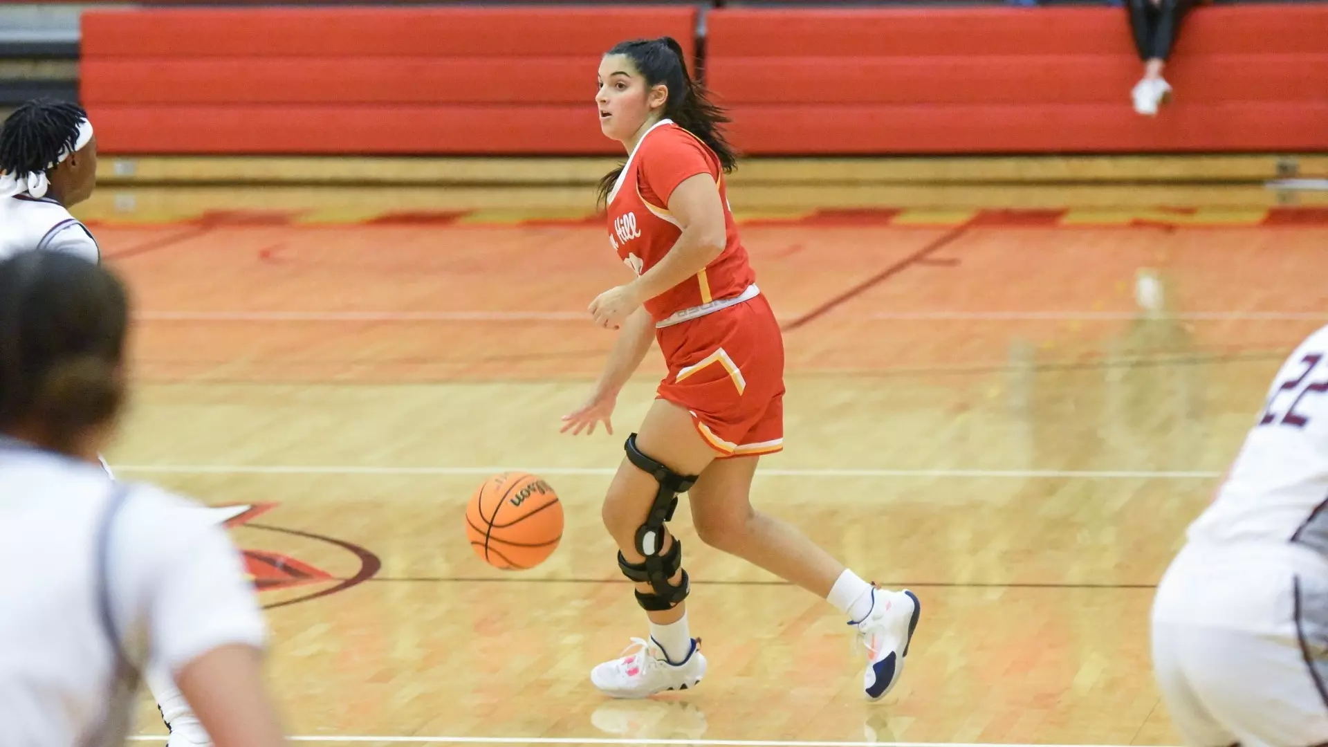 Nora Rafferty Paula Llovich - Women's Basketball - Seton Hill University Athletics