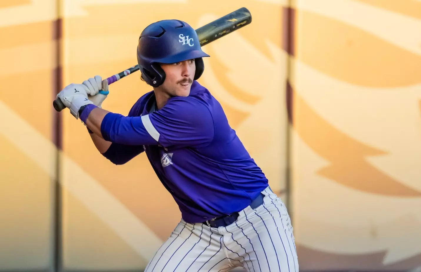 Bryce Barard Bryce Anderson - Baseball - Spring Hill College Athletics