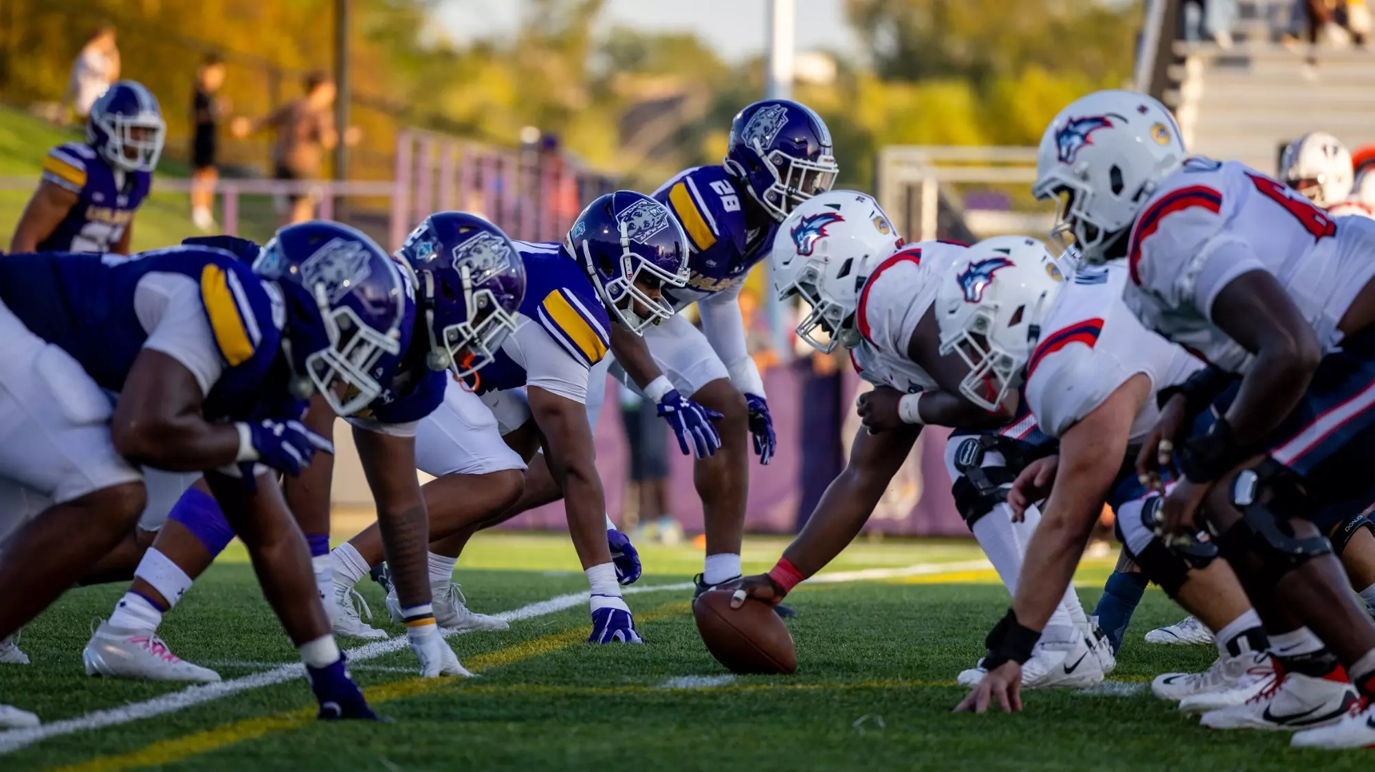 Football Falls to Stony Brook in Golden Apple Game University at