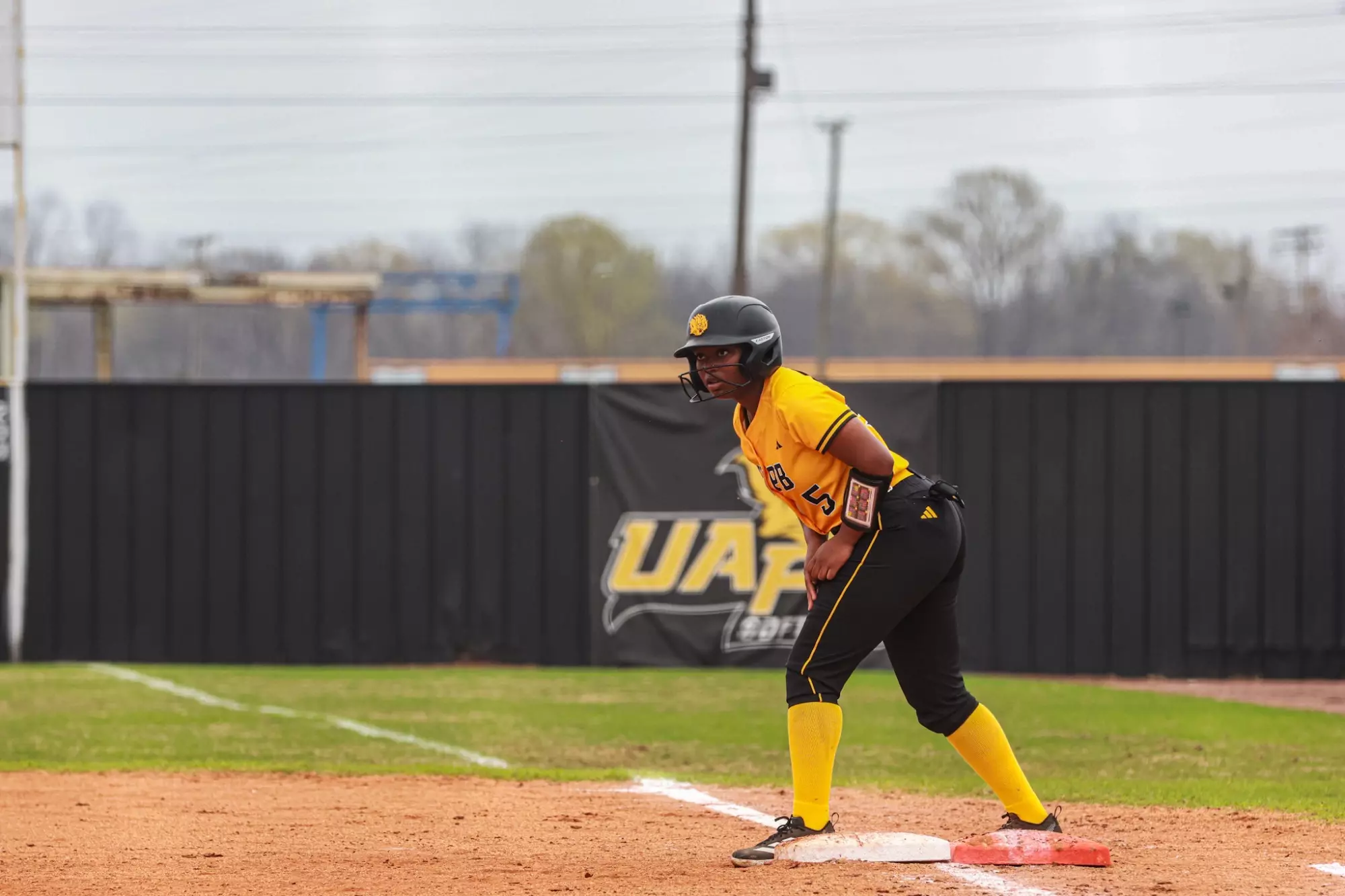 UAPB Softball