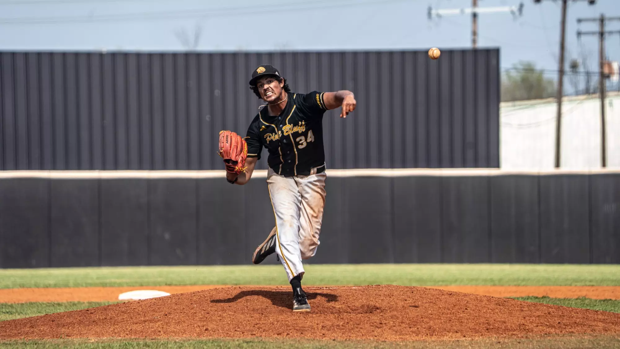 UAPB Ryland morin