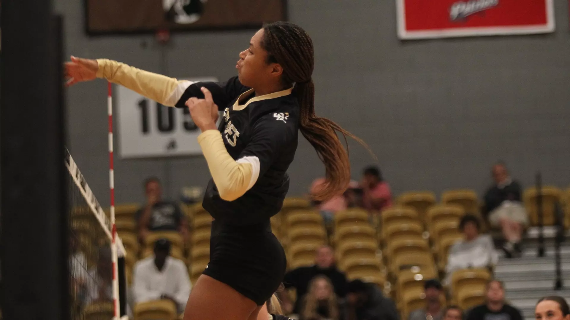 Ruby Daley Ruby Countryman - Volleyball - UNCP Athletics