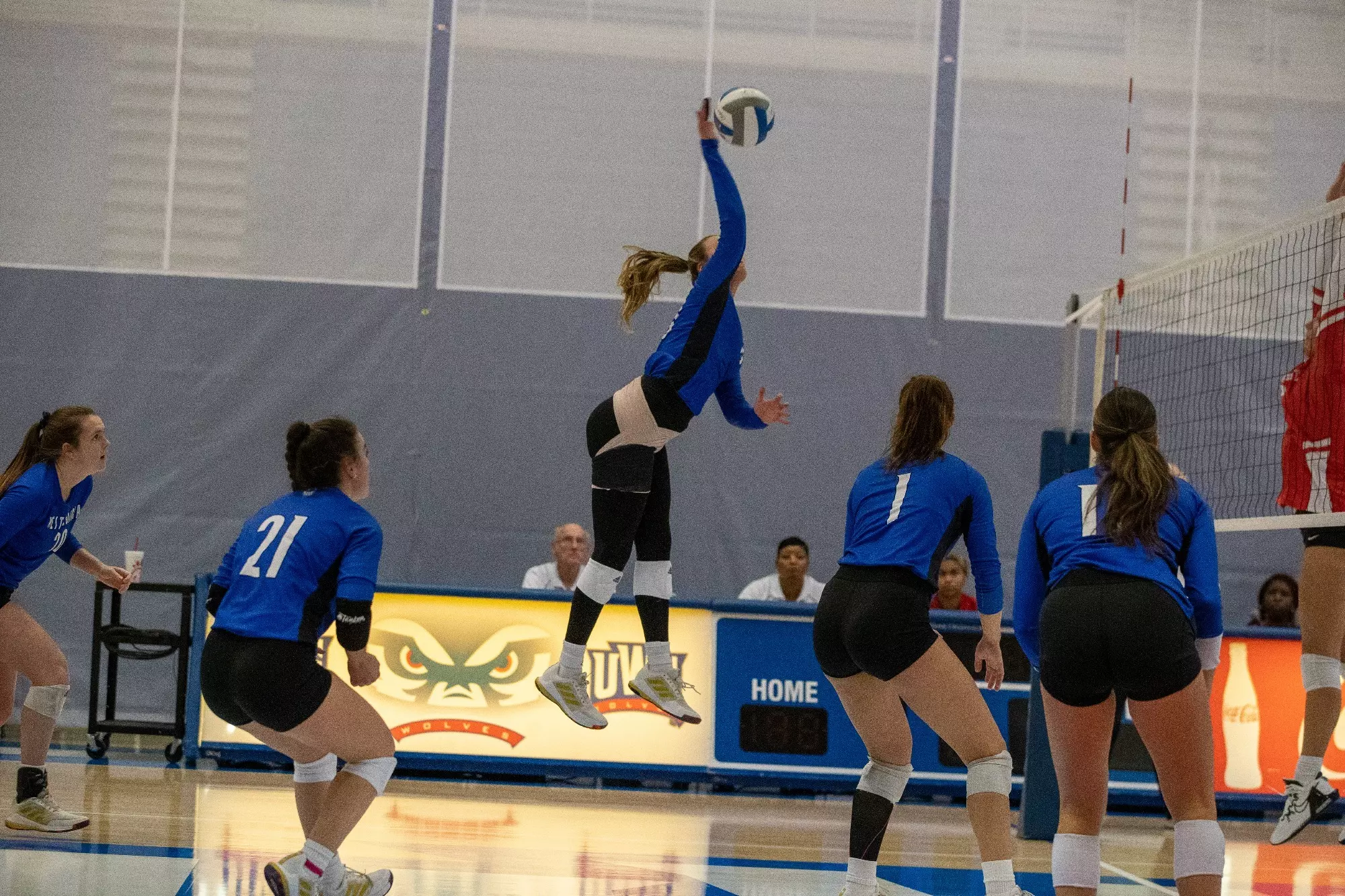 Zoë LaBreche 2024 Women's Volleyball UWG Wolves Athletic