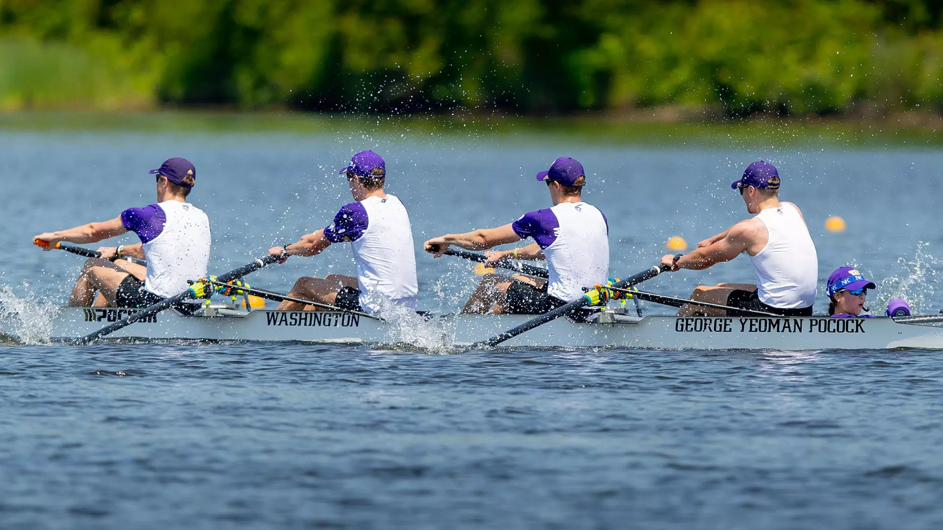 Ethan Walsh Men's Rowing University of Washington Athletics