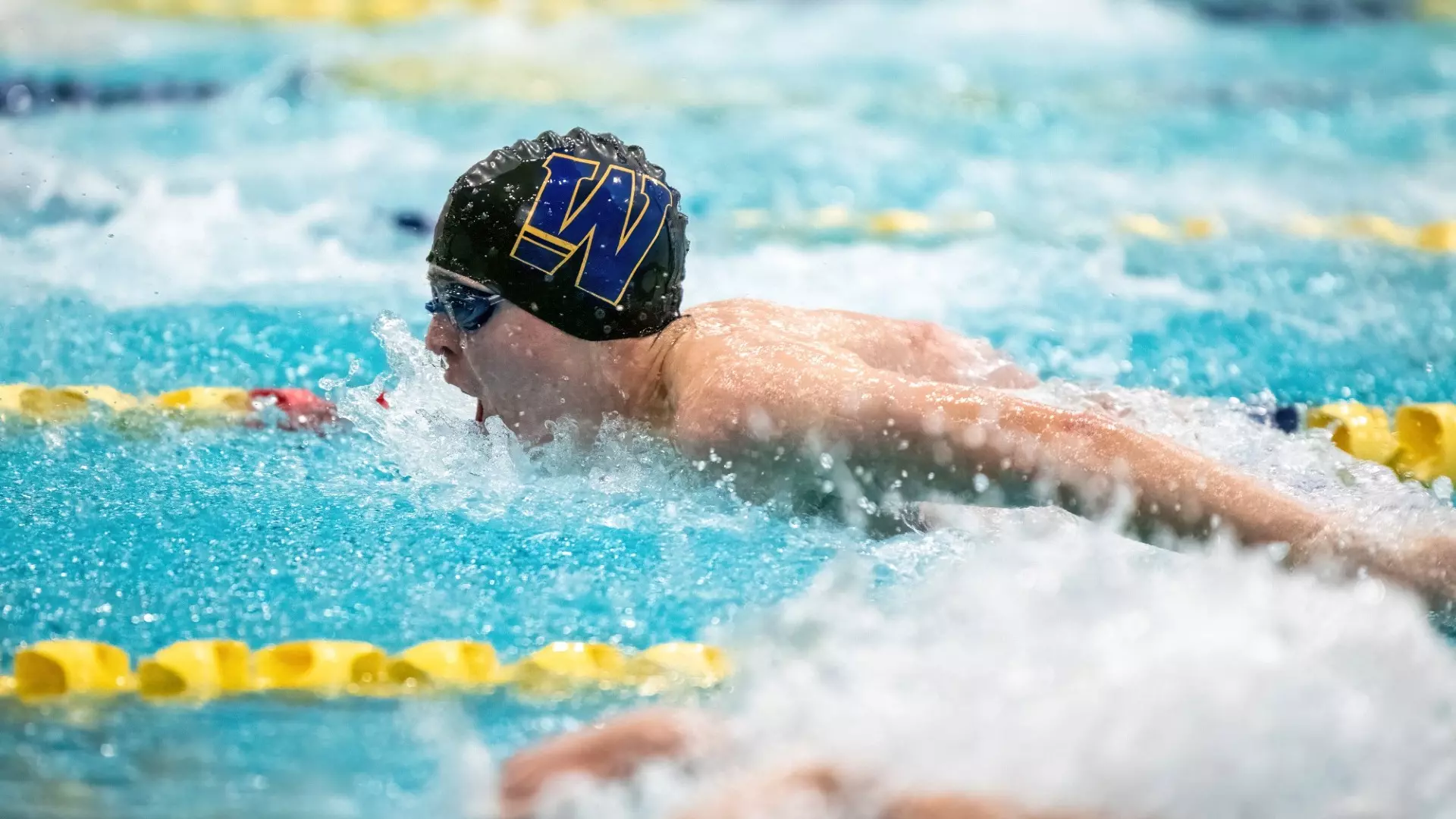 Patrick Rauch - 2024-25 - Men's Swimming - Widener University Athletics