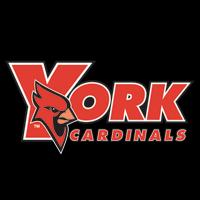 York College (N.Y.) logo