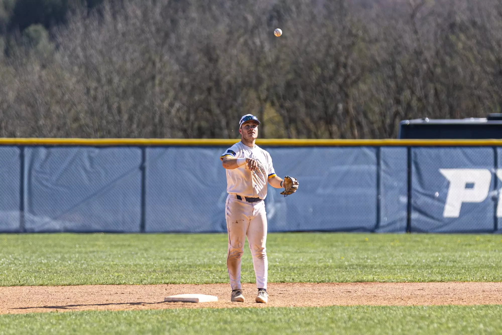 Caleb Ricardo Baseball Caleb Walker - 2025 - Baseball - Alfred State College