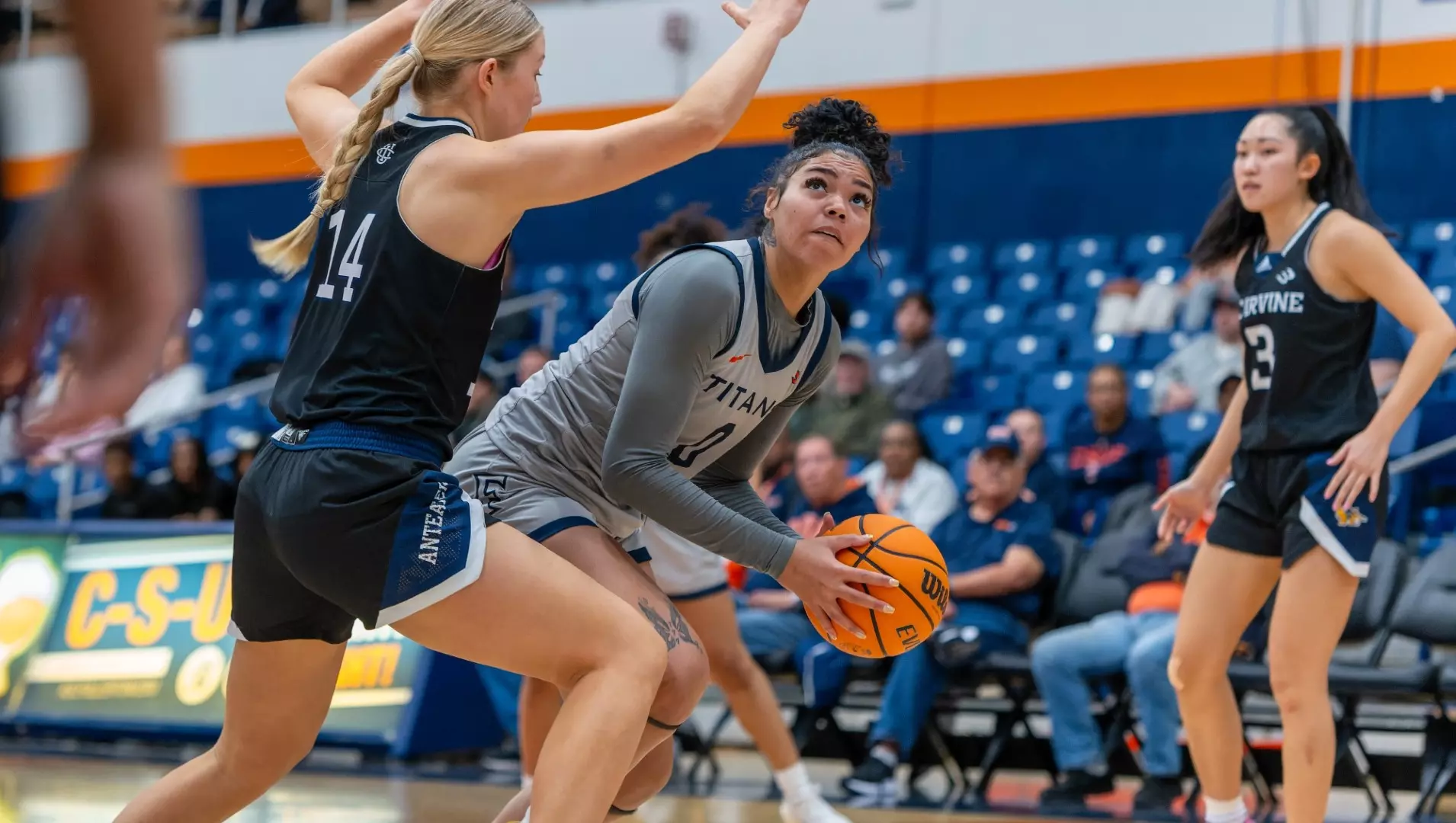 Layla Davis Layla Davis - 2024-25 - Women's Basketball - Cal State Fullerton