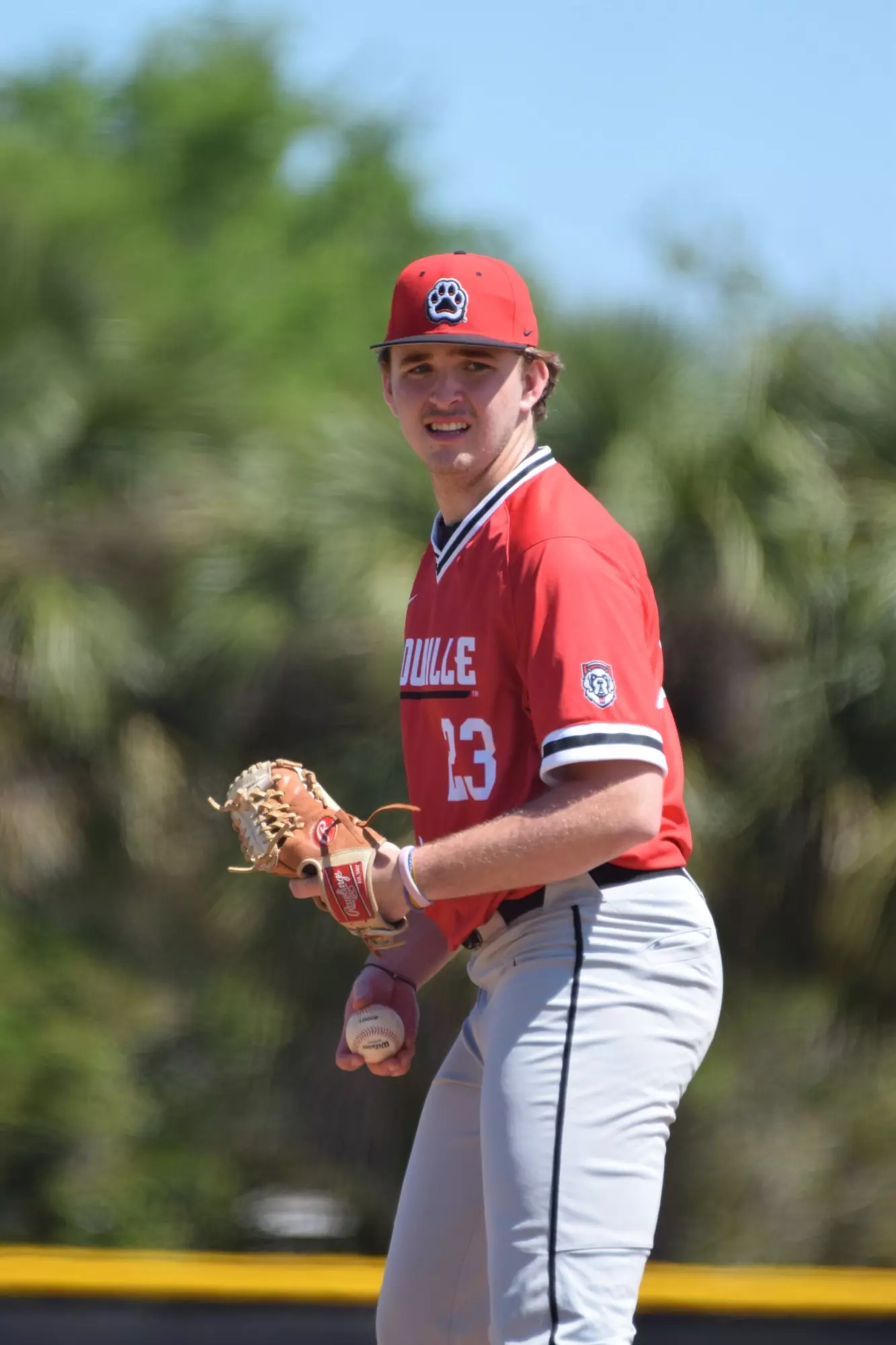 Eric Penner Ryan McCarthy - 2026 - Baseball - D'Youville University