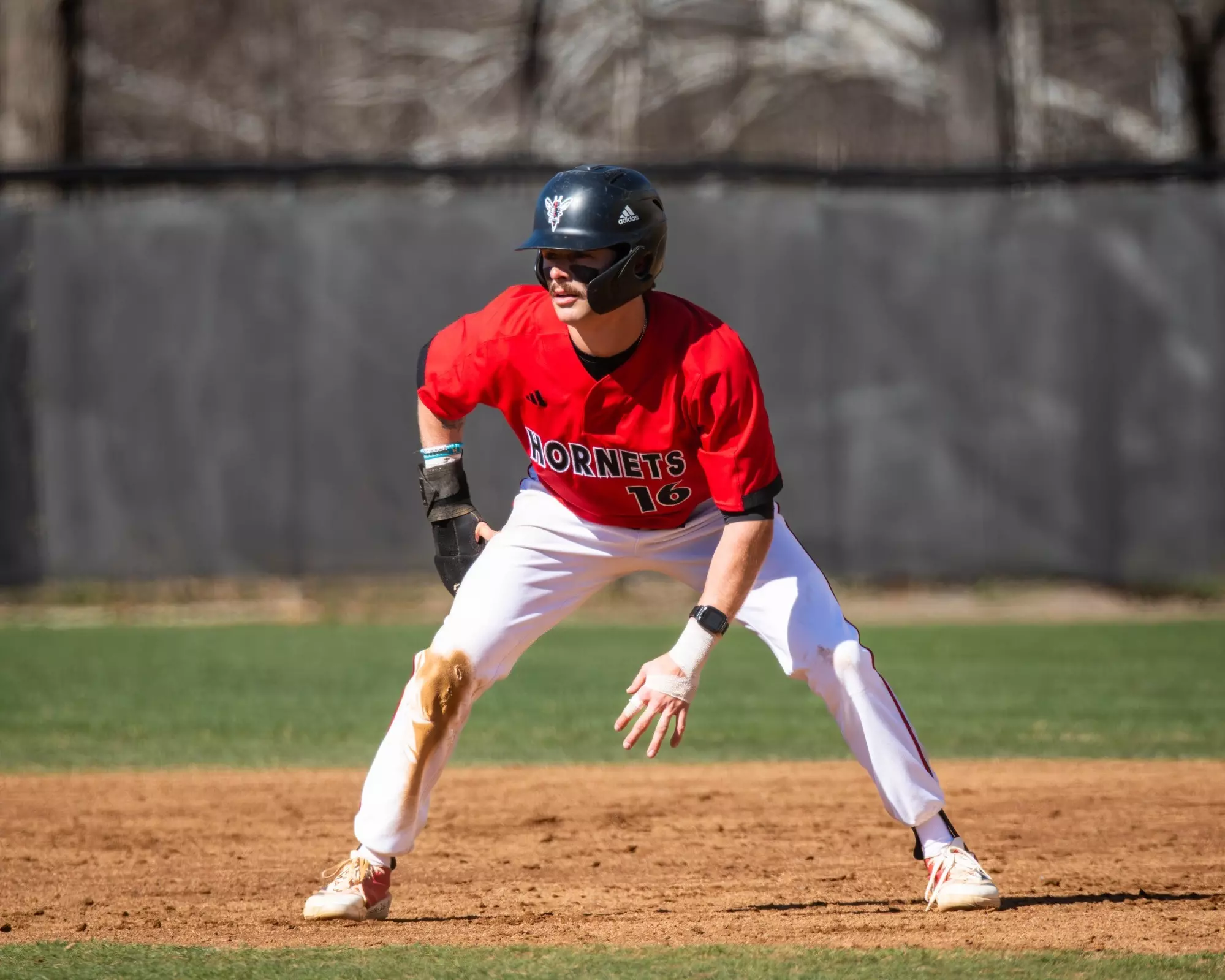 Sean Riney Quinn Madden - 2026 - Baseball - University of Lynchburg