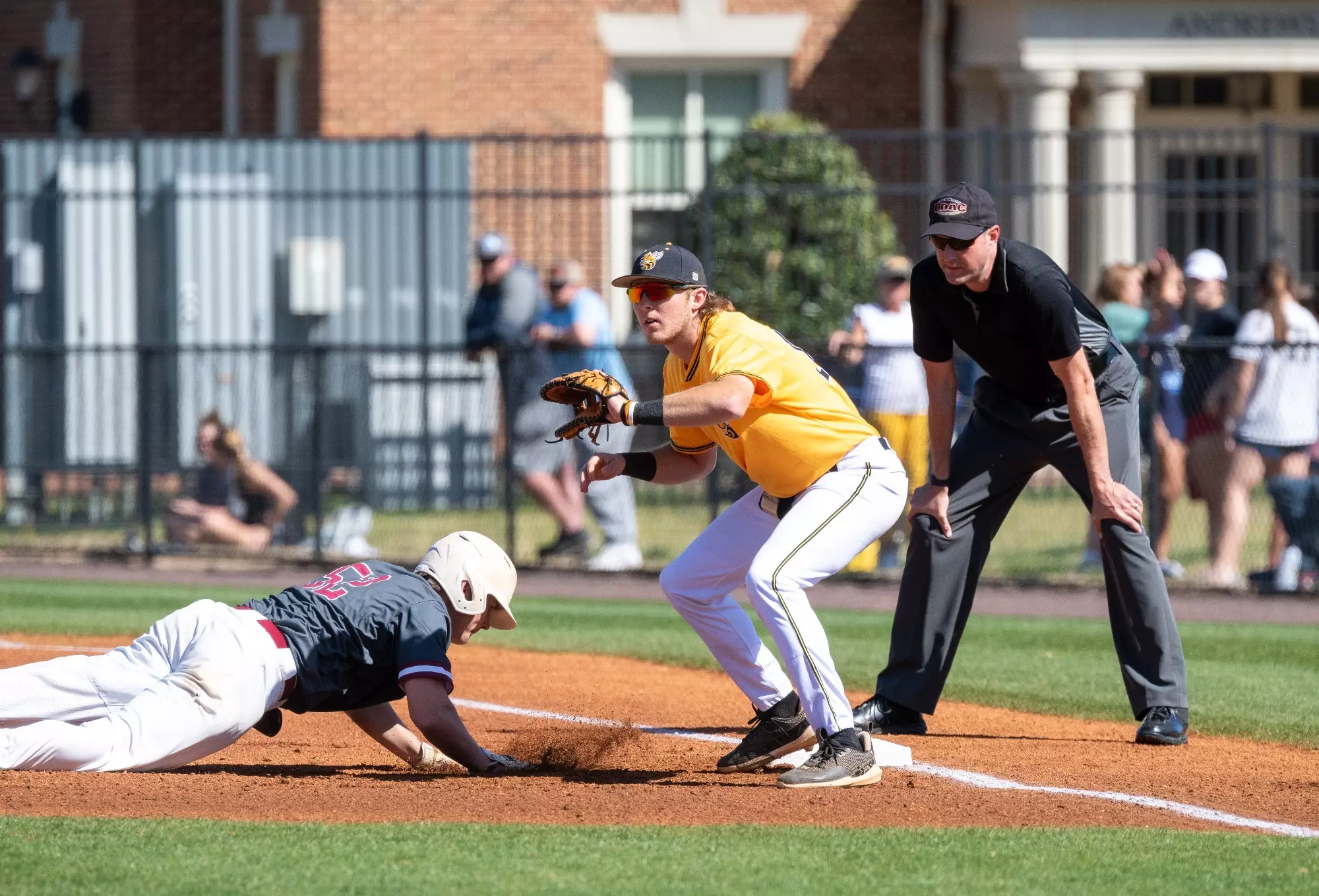 Macon Rbi Baseball Myles Webb - 2024 - Baseball - Randolph-Macon College