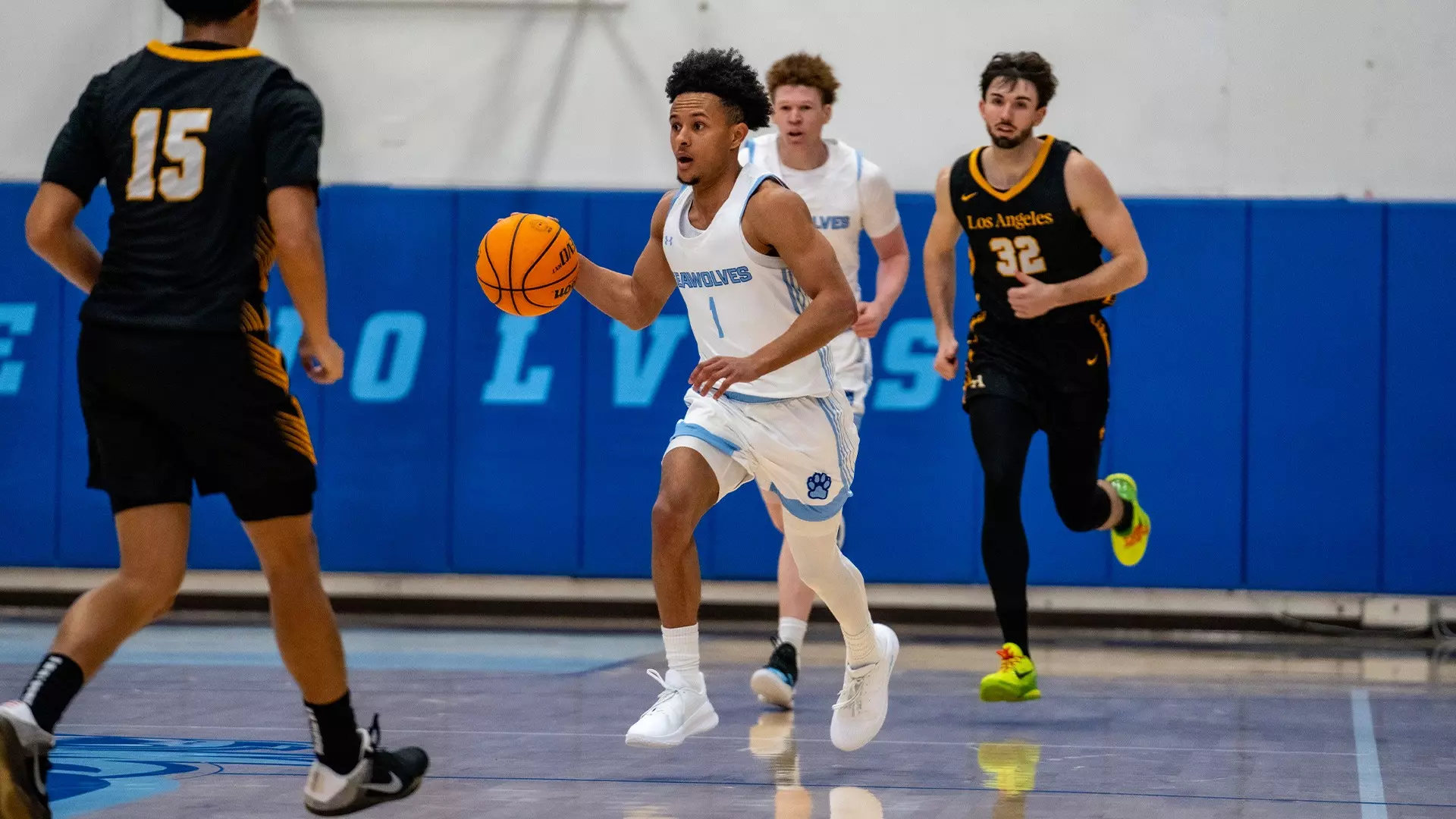 Wolves Sf Seawolves Take Down Local Rivals SFSU in 63-60 Victory Inside the ...