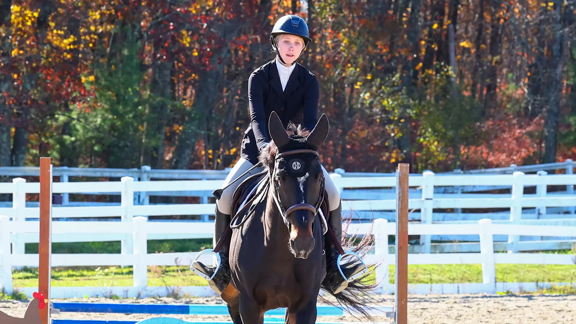 Bryan Foley Cora Cotman - 2025-26 - Equestrian - Stonehill College