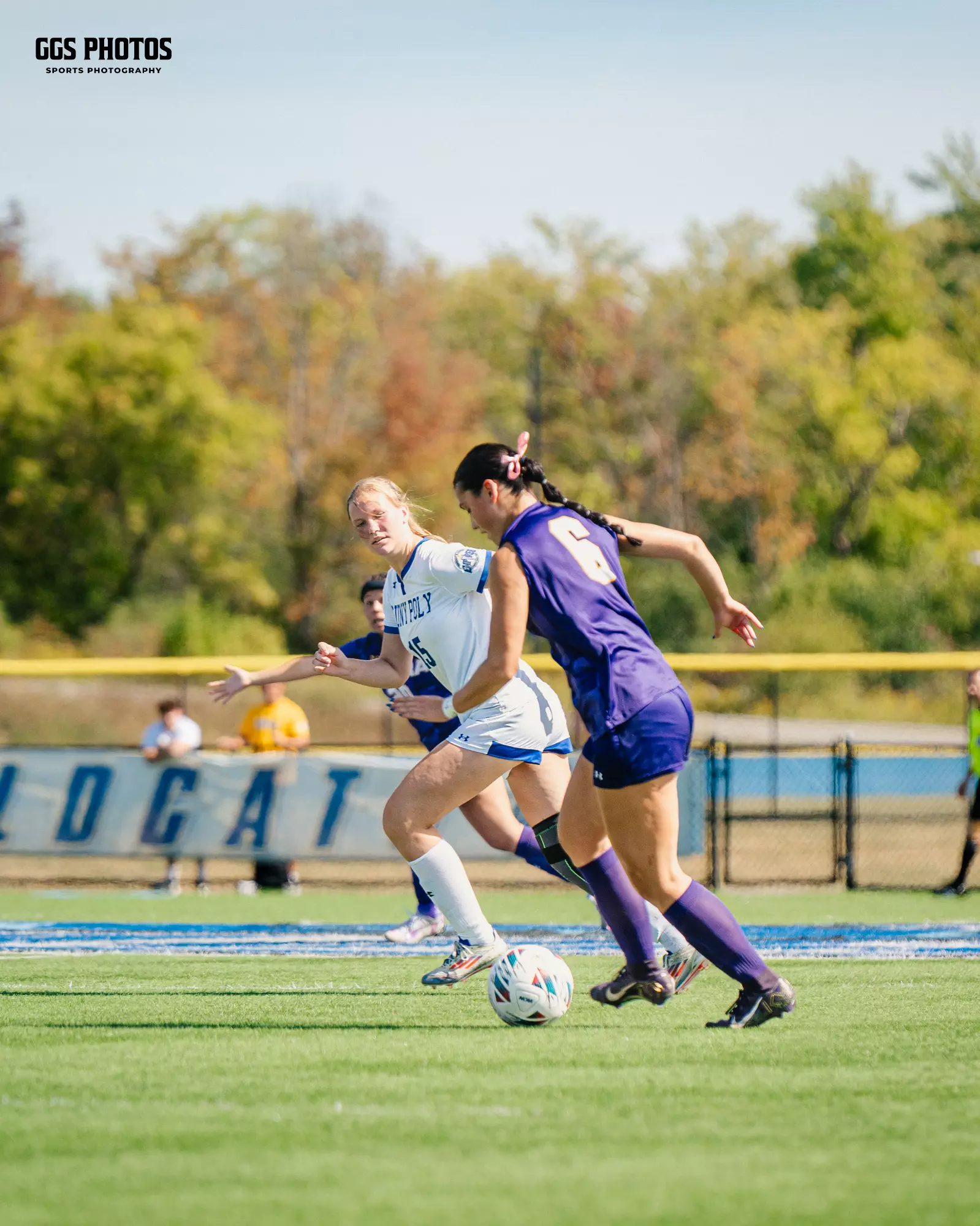 Blank Roa WSOC: Wildcats Blank Hilbert in 2-0 Road Victory - SUNY Polytechnic ...