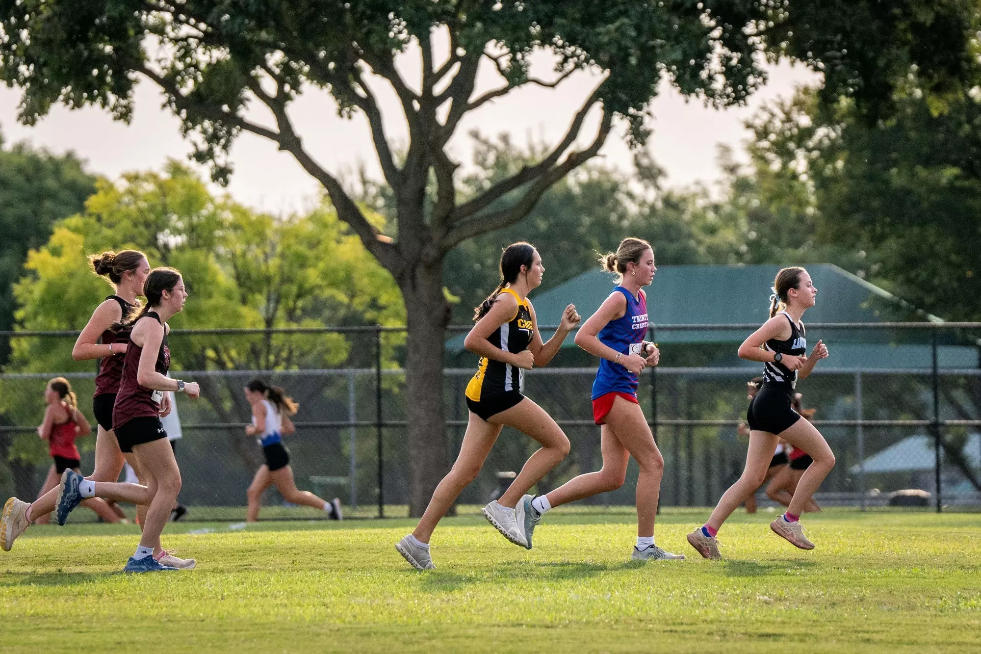 Addison Richey Cross Country Concludes Season at TAPPS Championships - Trinity ...