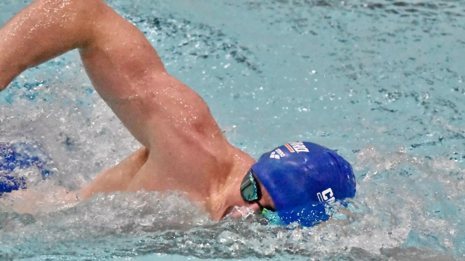 Adrian Romej Bears Swim and Sing to 171-129 Victory Against Kings Point - United ...