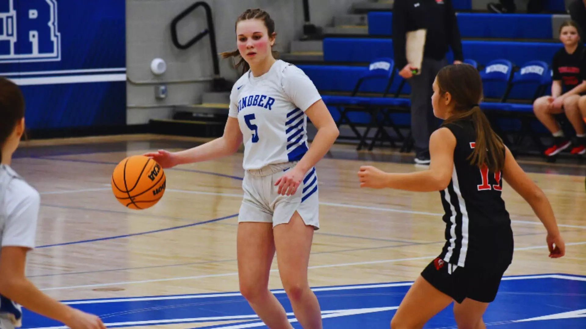 Geisel From Windber Windber JH Girls Basketball Dominates at Home - Windber Area School ...