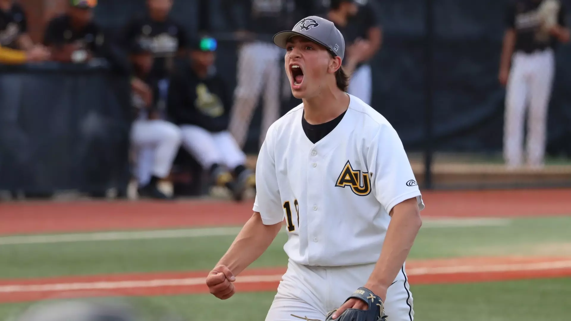 John Rizzo - Baseball - Adelphi University Athletics