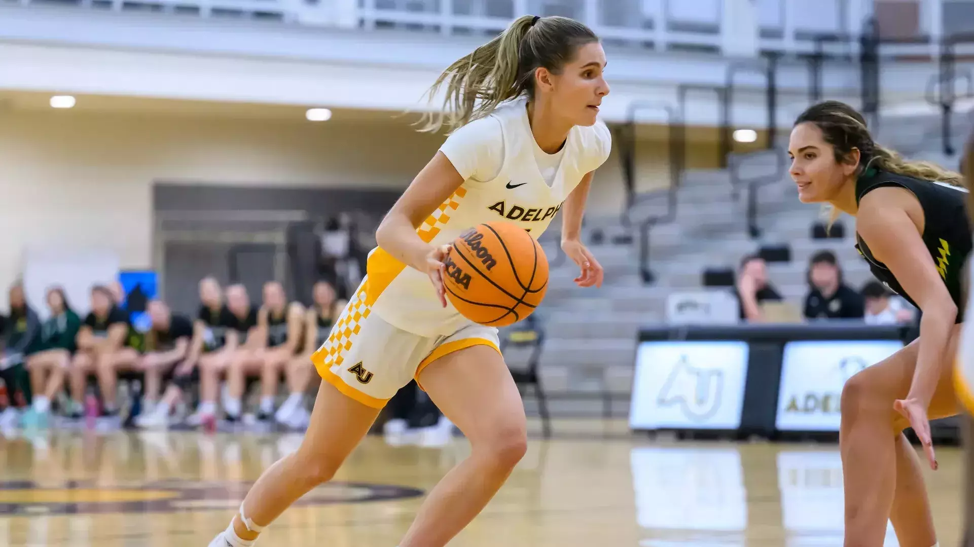 Beberman Women's Basketball Snaps Winning Streak to SCSU - Adelphi University ...