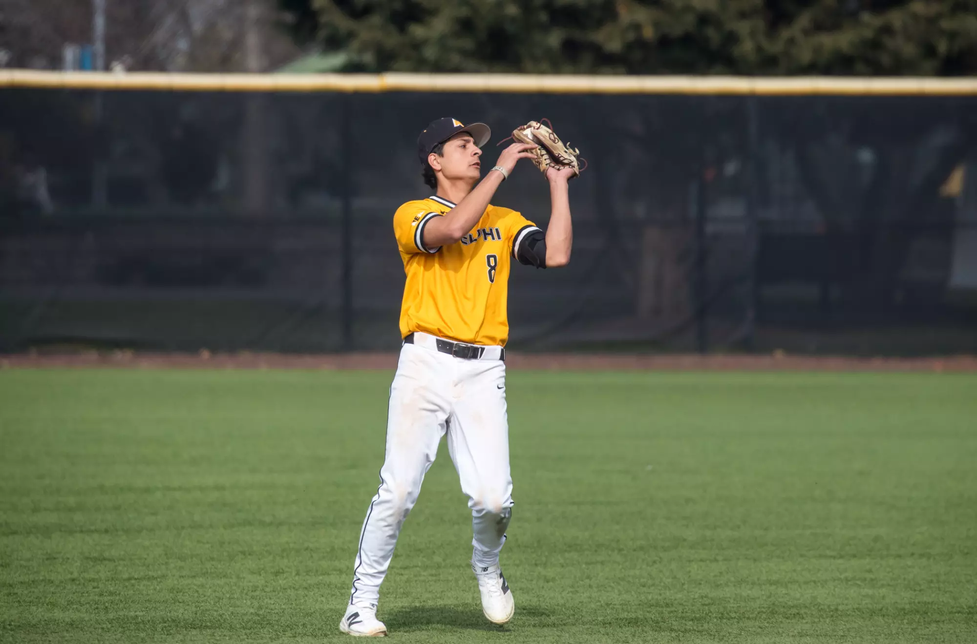 Anthony Rizzuto Rochester Albert Ramos - Baseball - Adelphi University Athletics