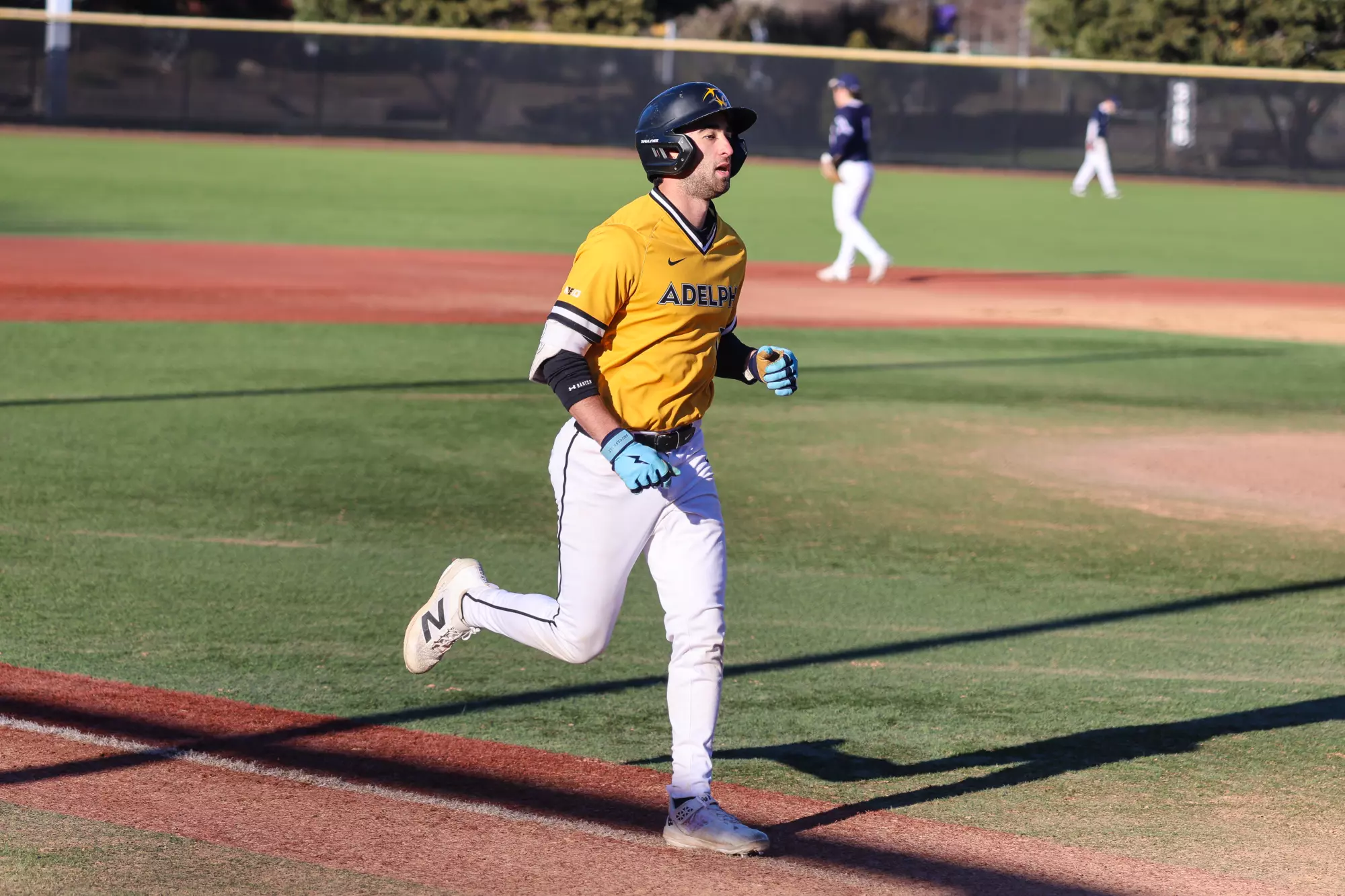 Anthony Rizzuto Rochester Michael Robinson - Baseball - Adelphi University Athletics