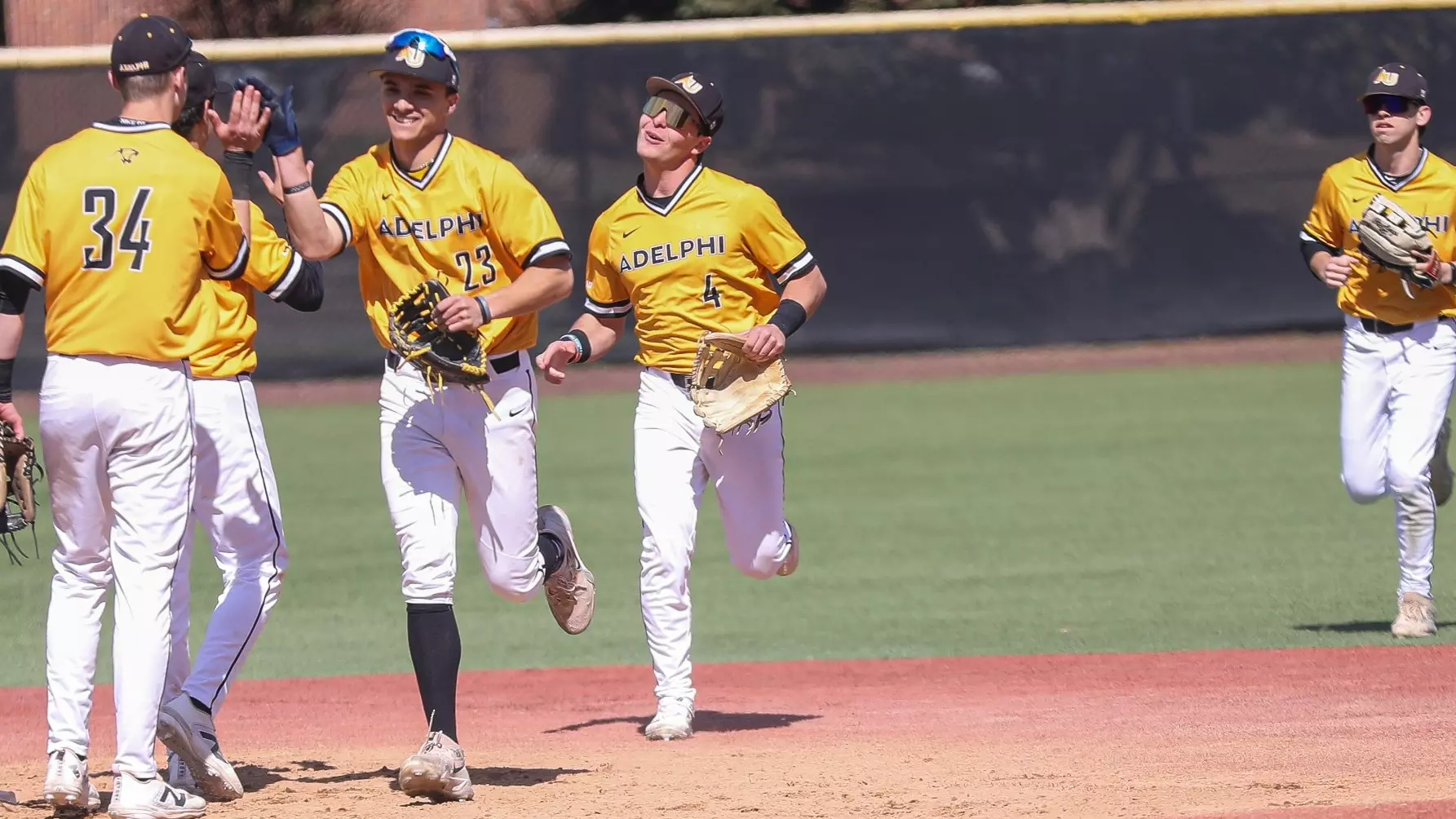Anthony Rizzuto Rochester Anthony Rigogliosi - Baseball - Adelphi University Athletics