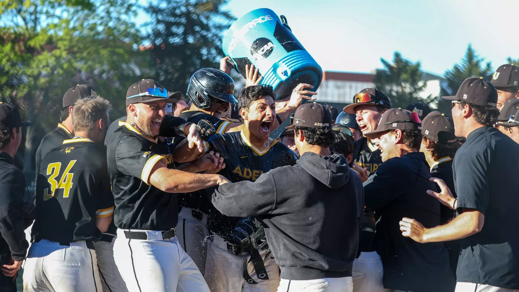 Anthony Rizzuto Rochester Albert Ramos - Baseball - Adelphi University Athletics
