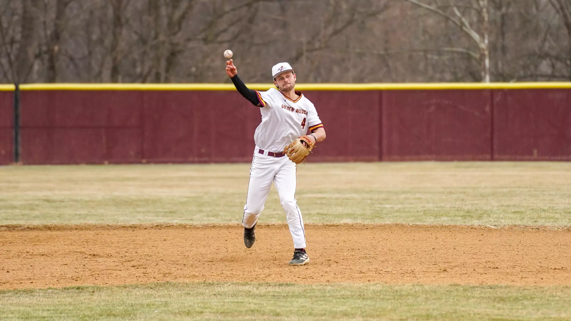 Timmy Reed Baseball Timmy Hitchcock - Baseball - Alvernia University Athletics