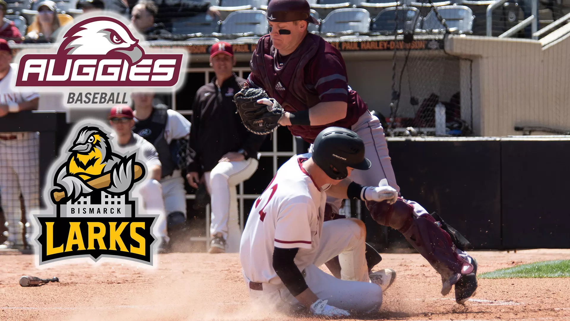 Joseph Rydel Joe Rydel - Baseball - Augsburg University Athletics