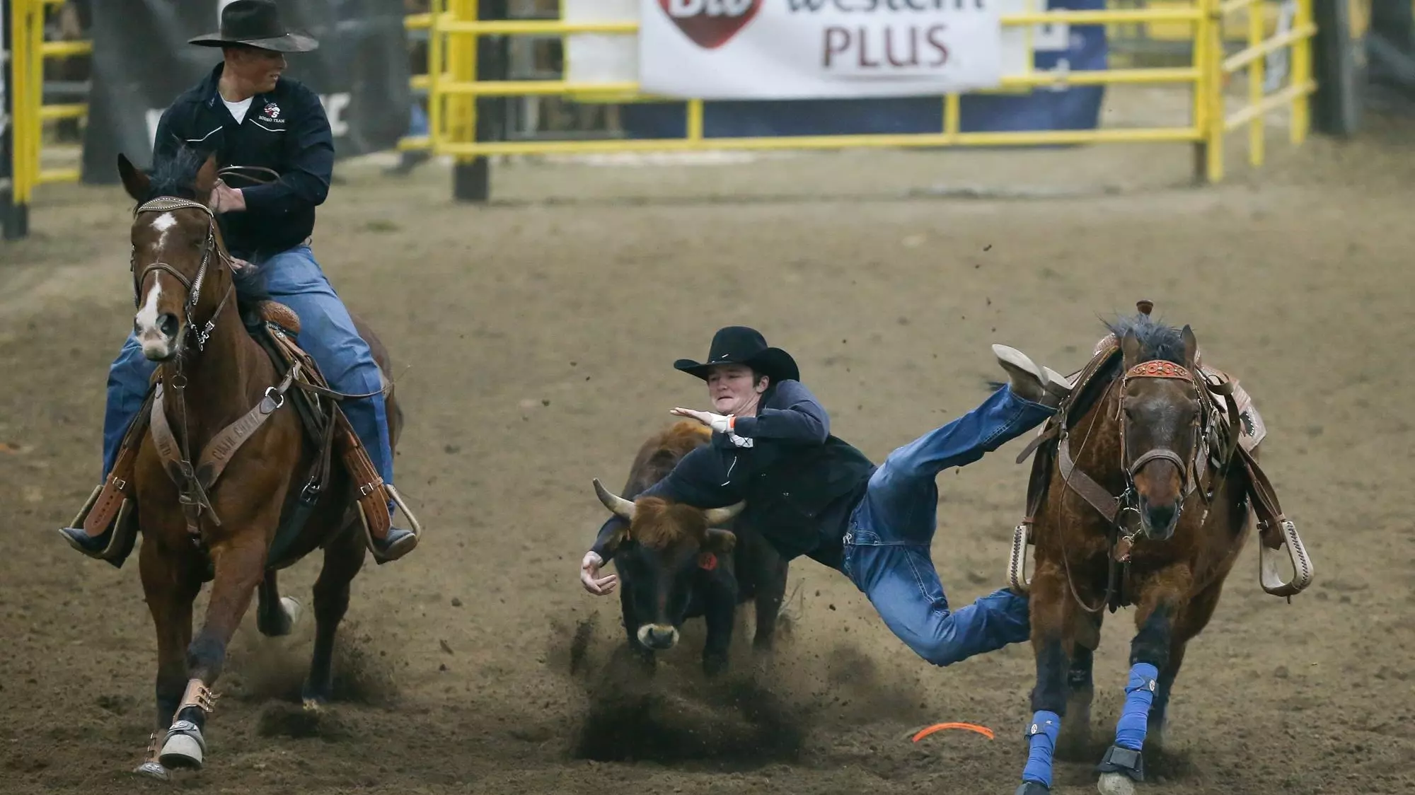 Ryan Champney Brek Sanderson - Men's Rodeo - College of Southern Idaho Athletics