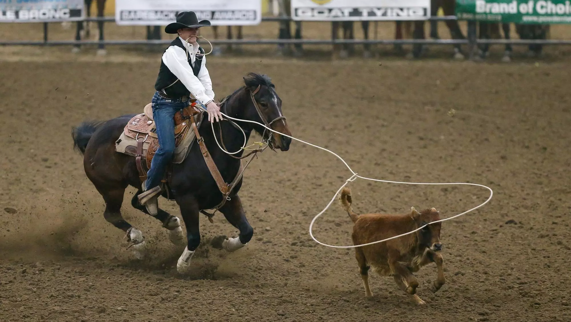Ryan Champney Colt Ramsey - Men's Rodeo - College of Southern Idaho Athletics