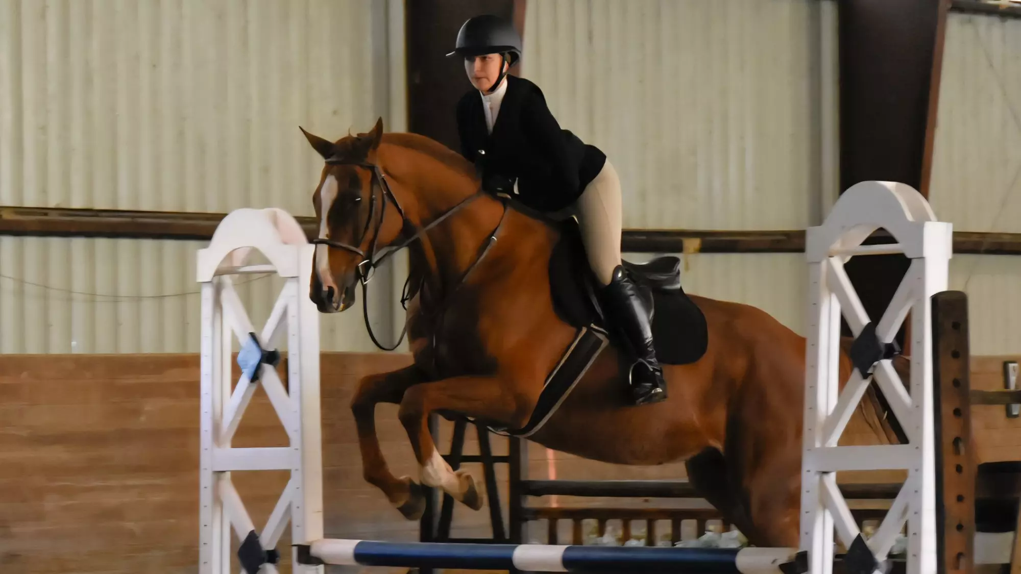 Sam Smoot Grace Allen - Equestrian - Hunt Seat - Delaware Valley University Athletics
