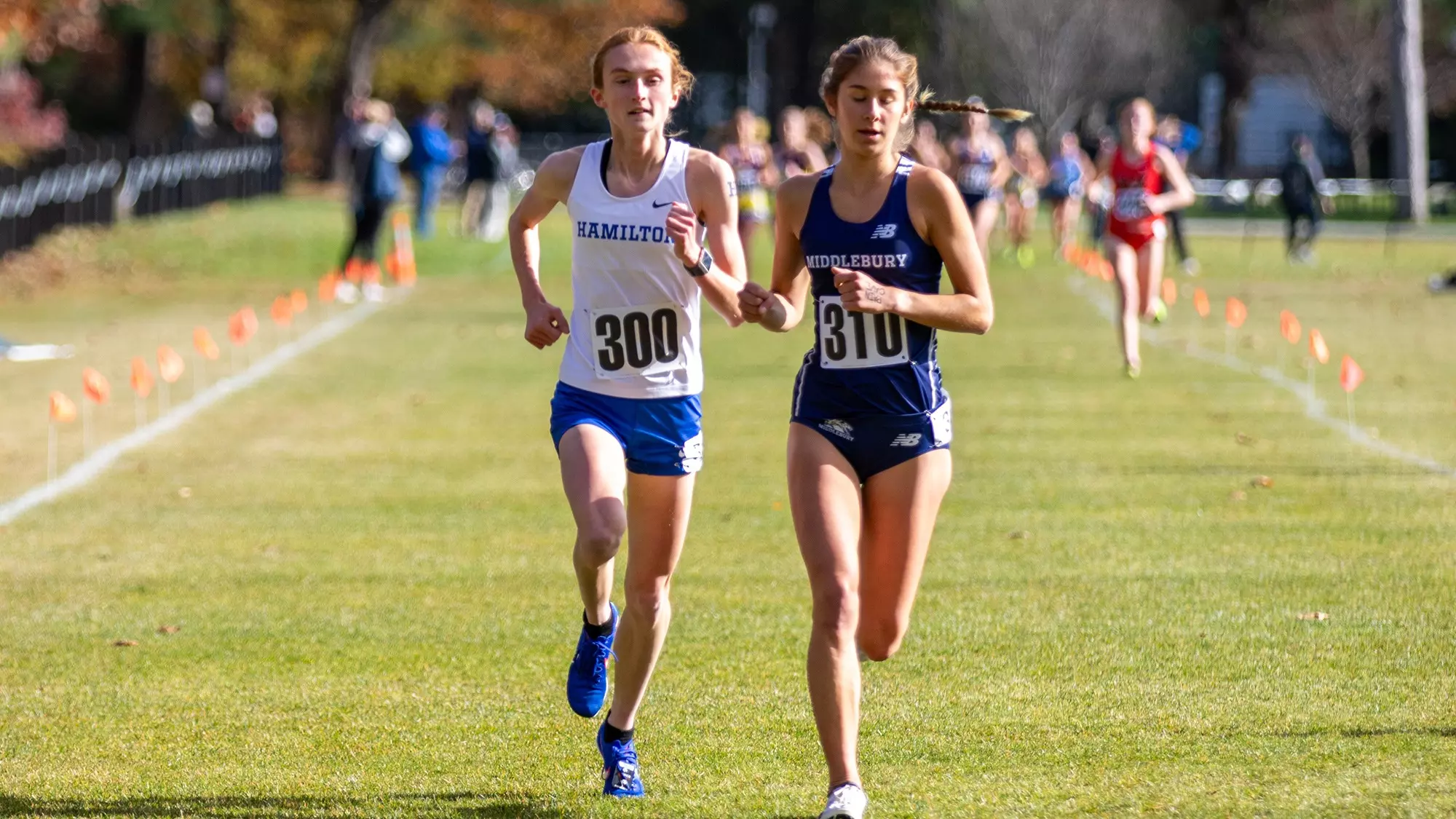 Keira Rogan Rochester Keira Rogan - 2024 - Women's Cross Country - Hamilton College