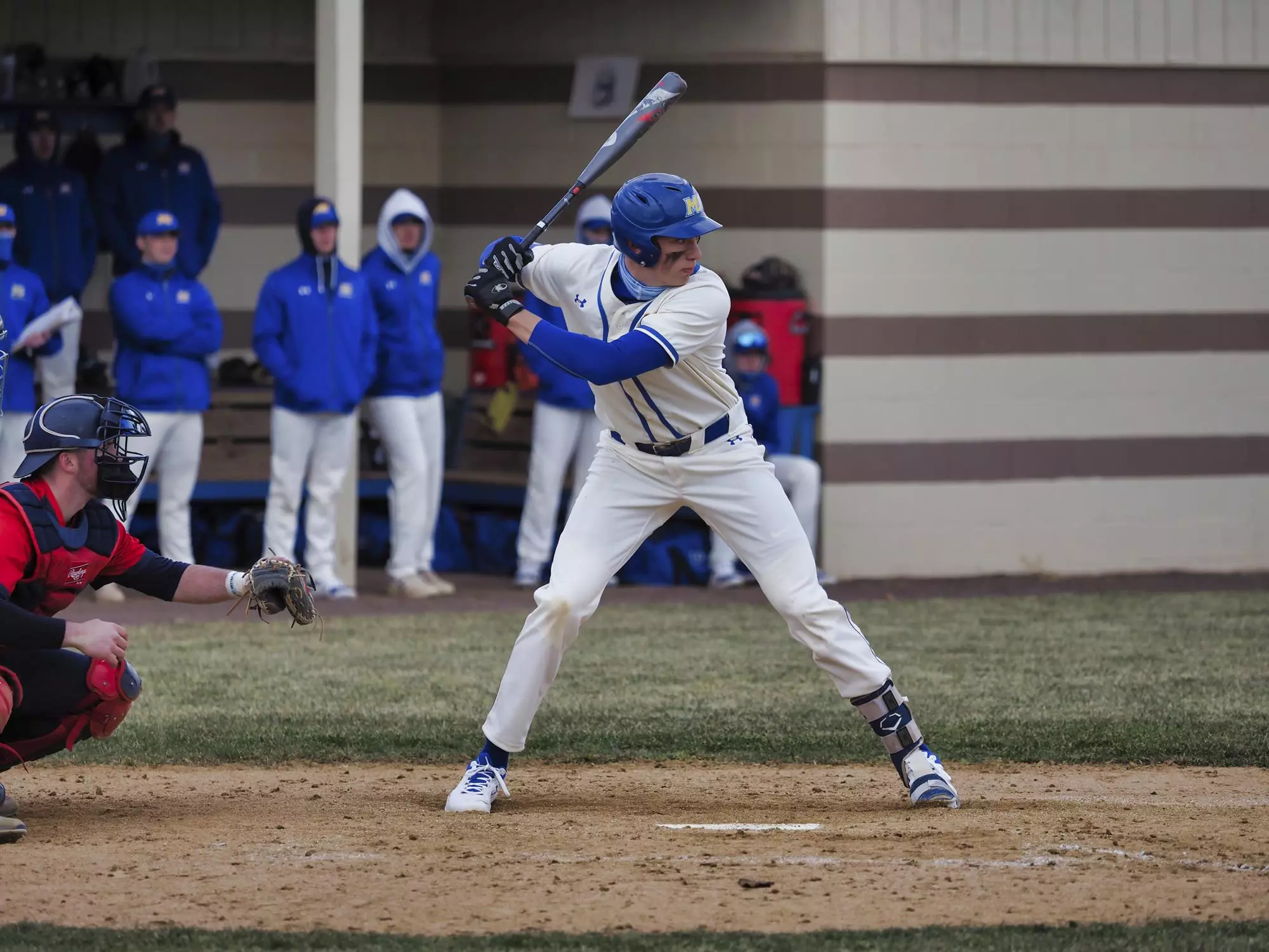 Jacob Ragni Cougars Walk-Off For Sixth Straight Win - Misericordia University Athletics