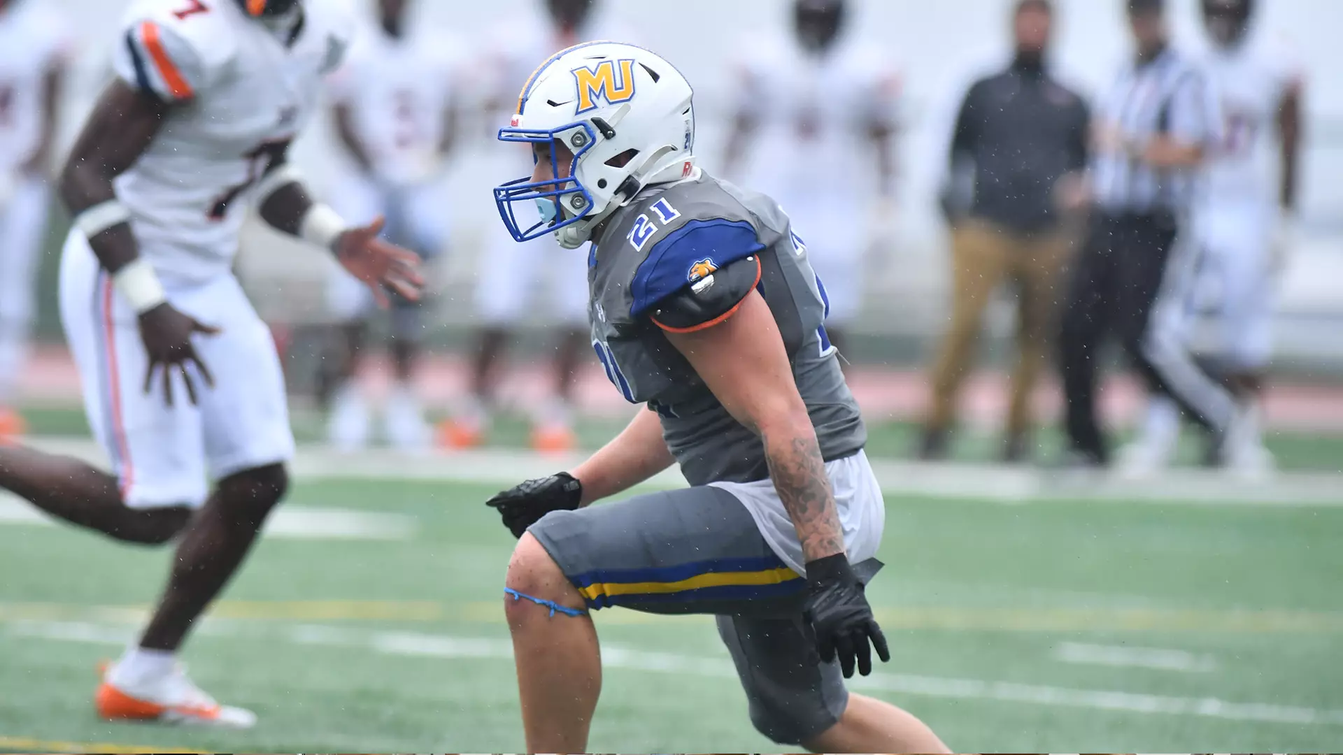 Jacob Ragni Cougars Fall to Stevenson in Home Finale - Misericordia University ...