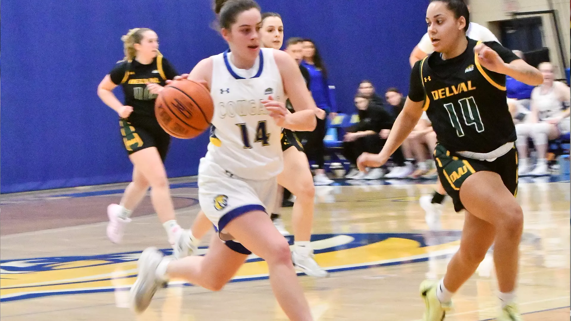 Emily Ramacouski MU Women Fall to Stevens - Misericordia University Athletics