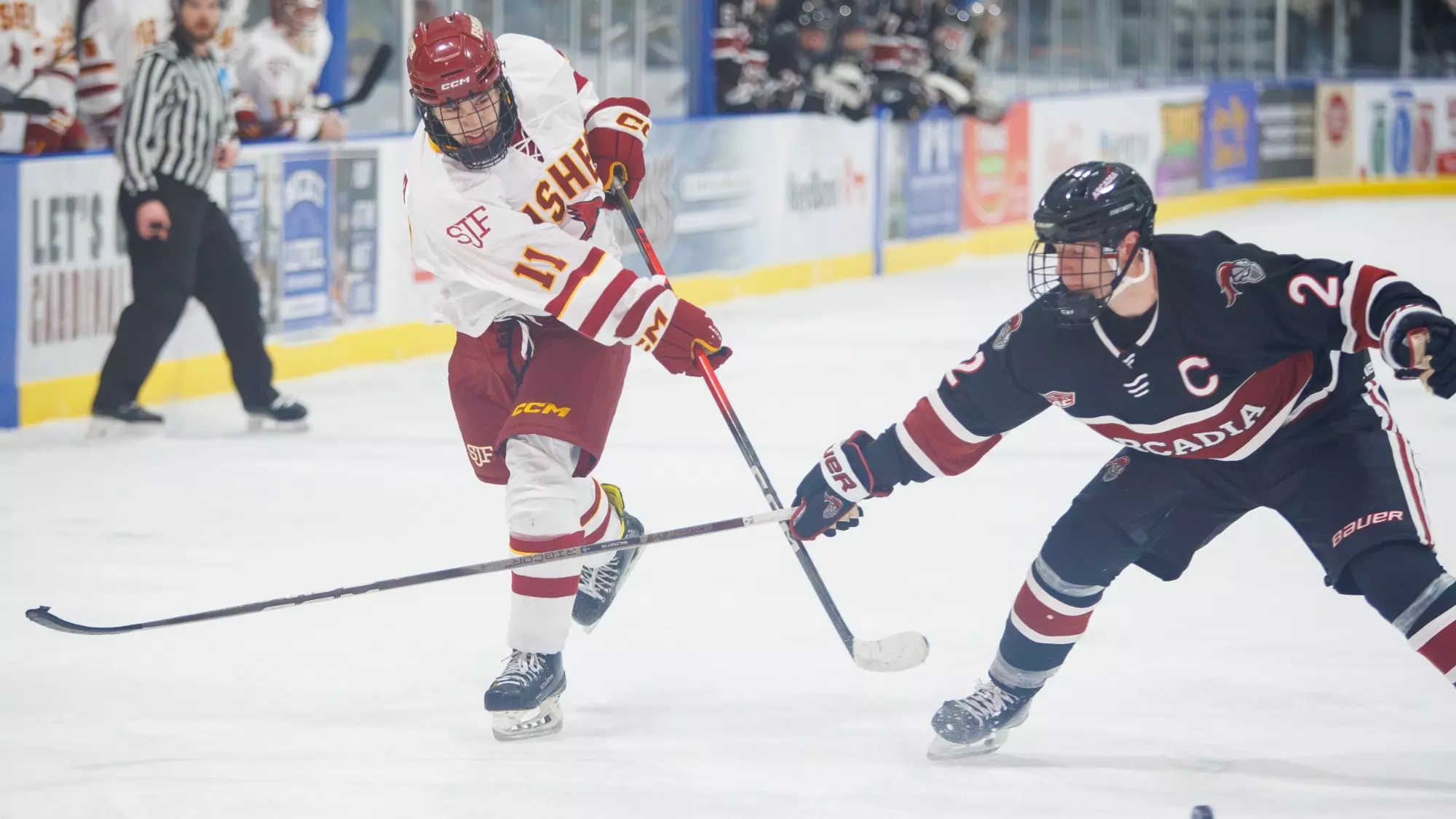 Men's Ice Hockey's Ciappa Named To UCHC All-Rookie Team For 2025-26 ...