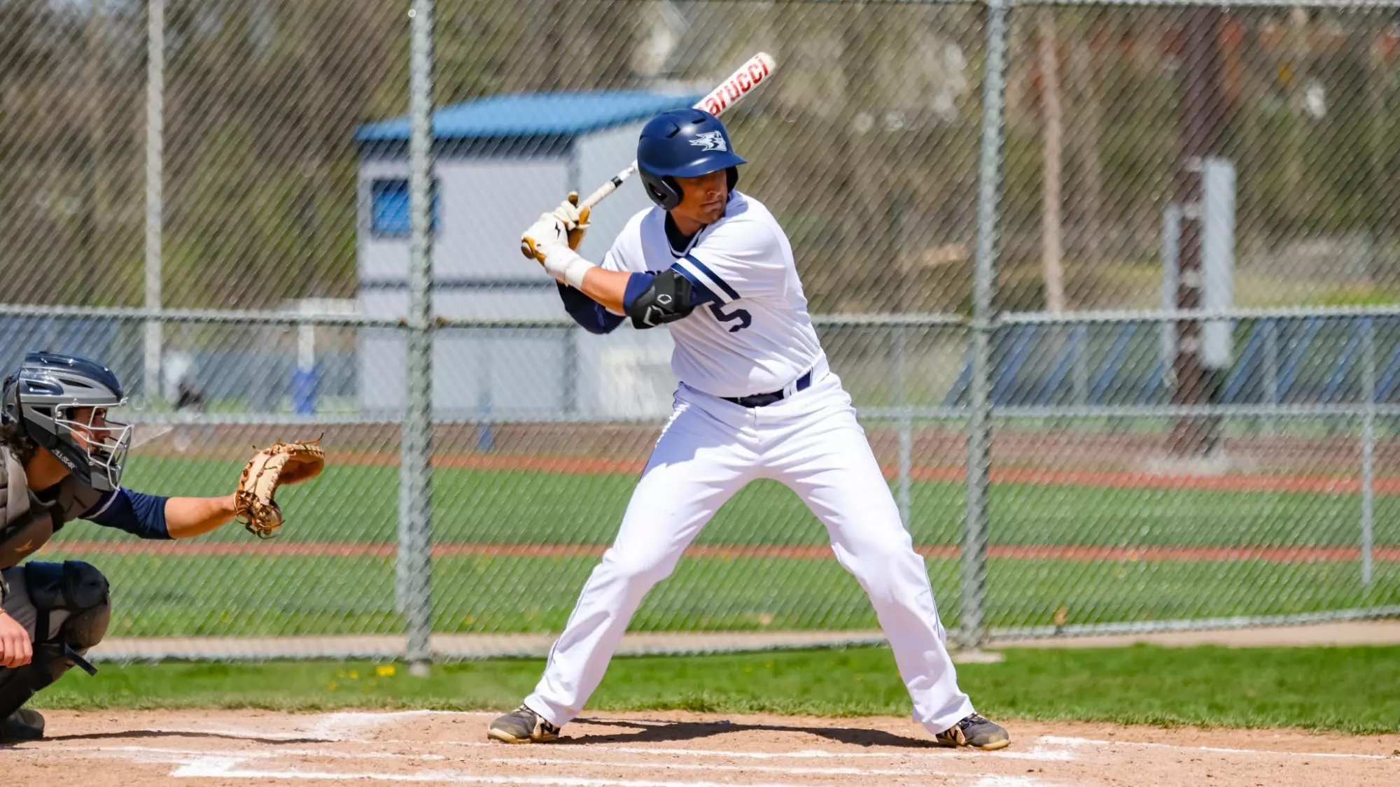 Jack Ries Jake Hesseling - 2024 - Baseball - University of Wisconsin-Stout Athletics