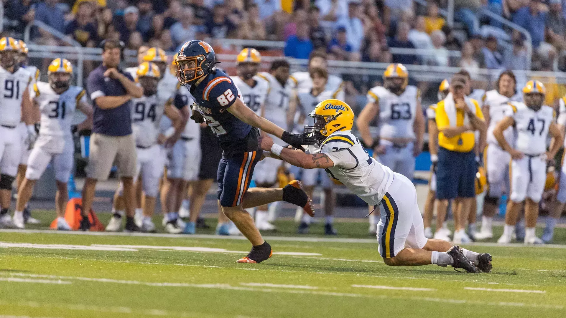 Davis Reeves - Football - Wheaton College Athletics