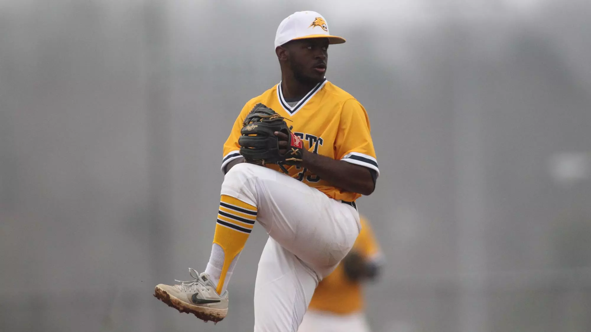 Tyler Butler Arizona Tyler Butler - 2019 - Baseball - Averett University Athletics