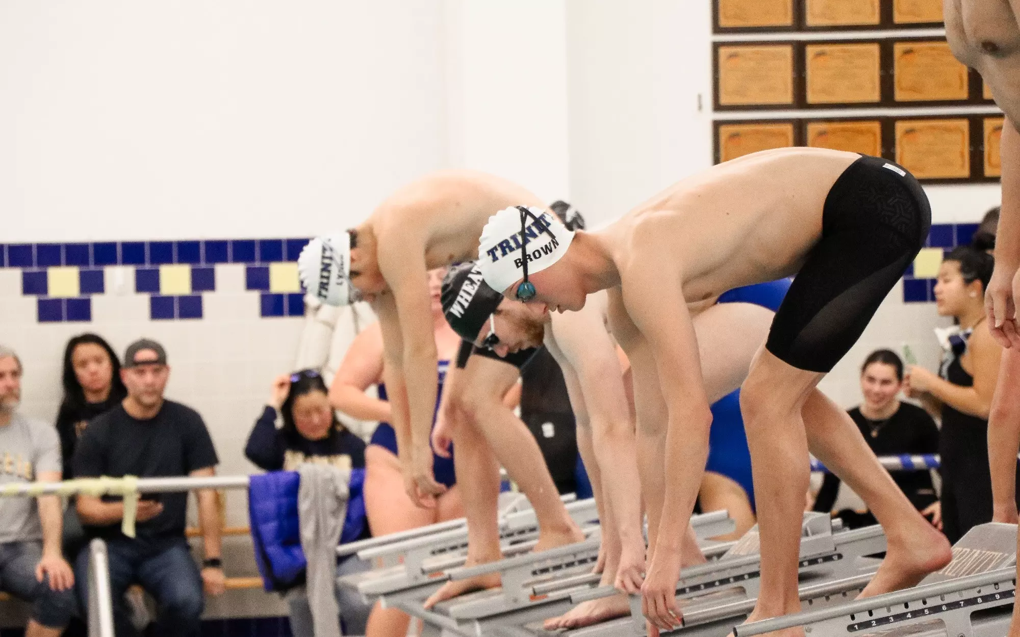 Ethan Rinaldi Matthew Brown - 2024-25 - Men's Swimming and Diving - Trinity College