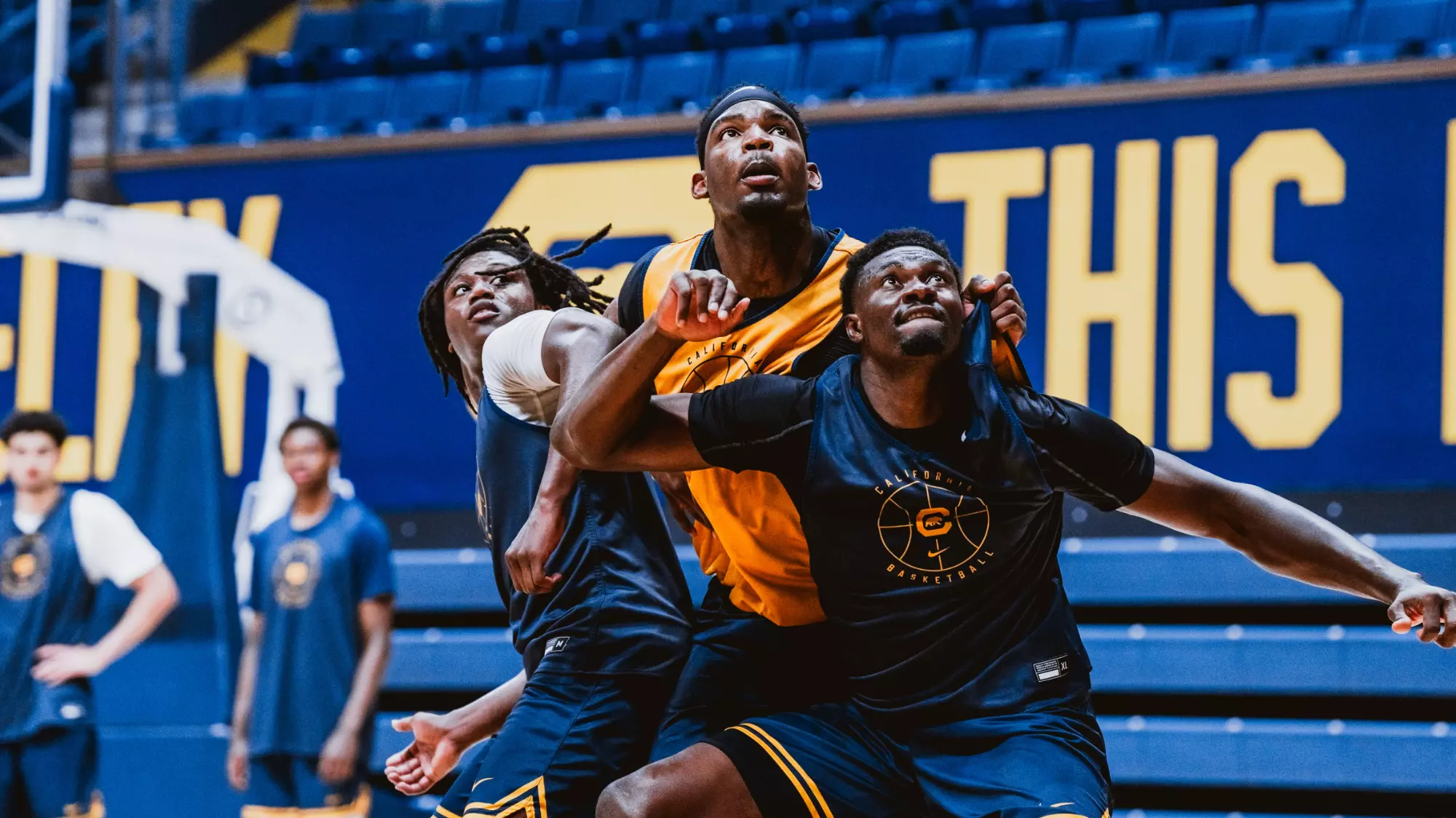 Lee Dort Men s Basketball California Golden Bears Athletics lee-dort-men-s-basketball-california-golden-bears-athletics