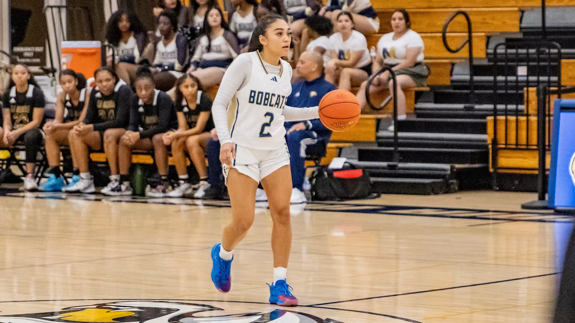 Sierra Riddle Bobcats Set to Battle Embry-Riddle and La Sierra on the Road ...