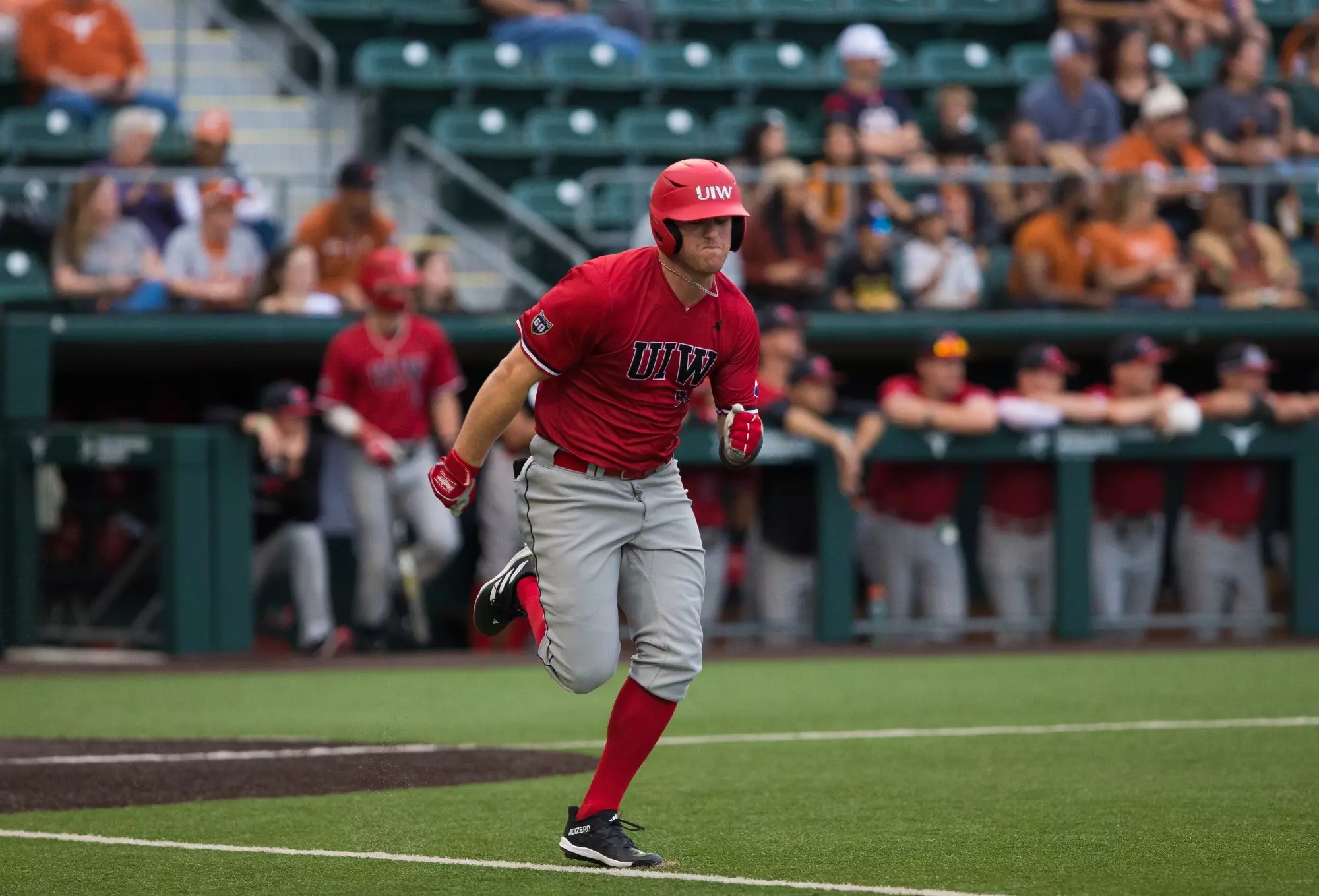 Ryan Scott - Baseball - University of the Incarnate Word Athletics