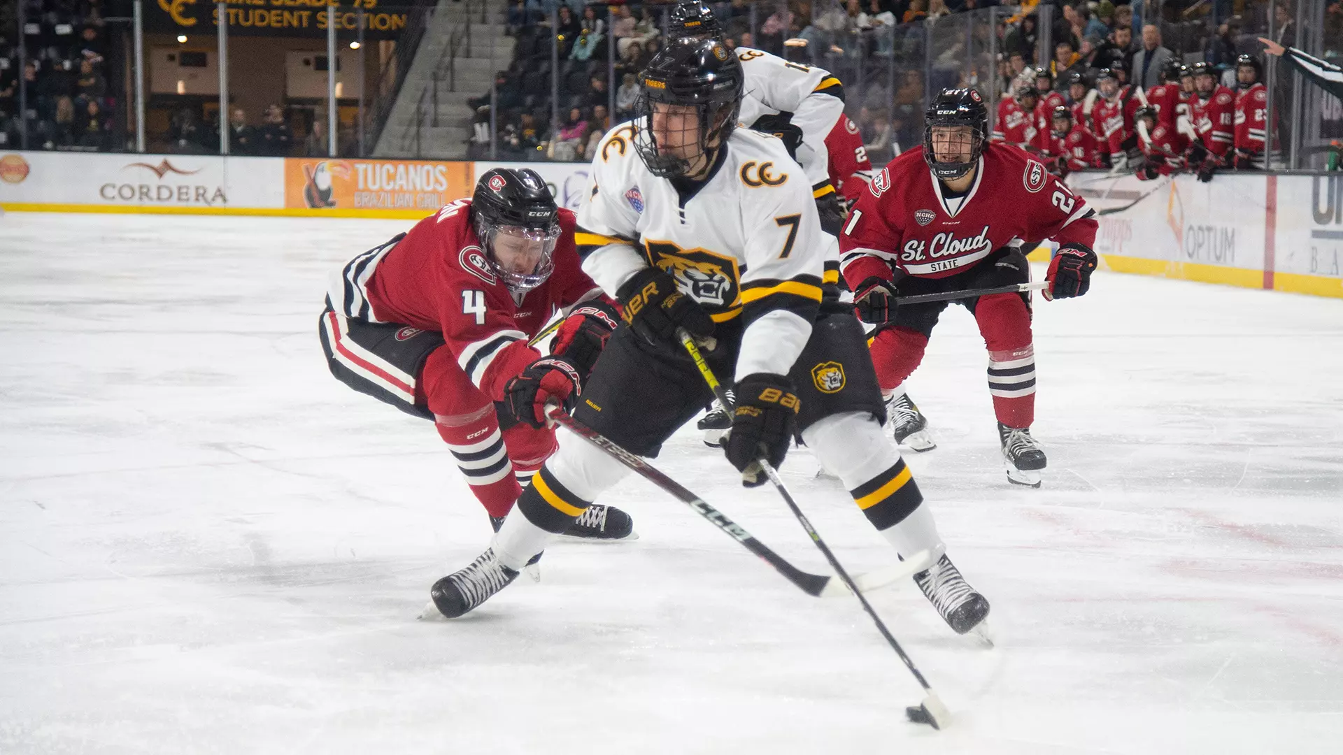 Chase Foley Chase Foley - Men's Ice Hockey - Colorado College Athletics