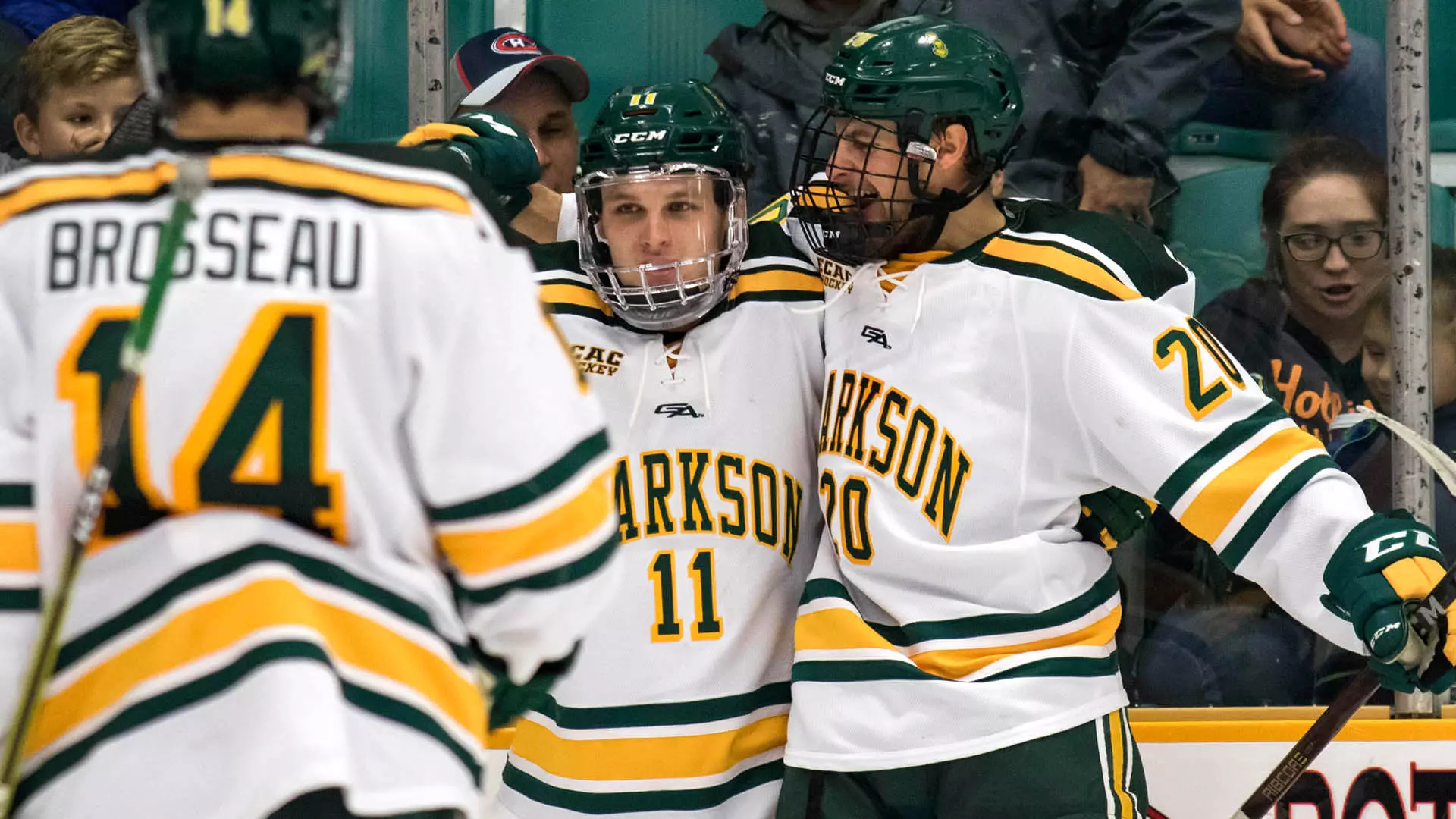 Sheldon Rempal Sheldon Rempal - Men's Hockey - Clarkson University Athletics