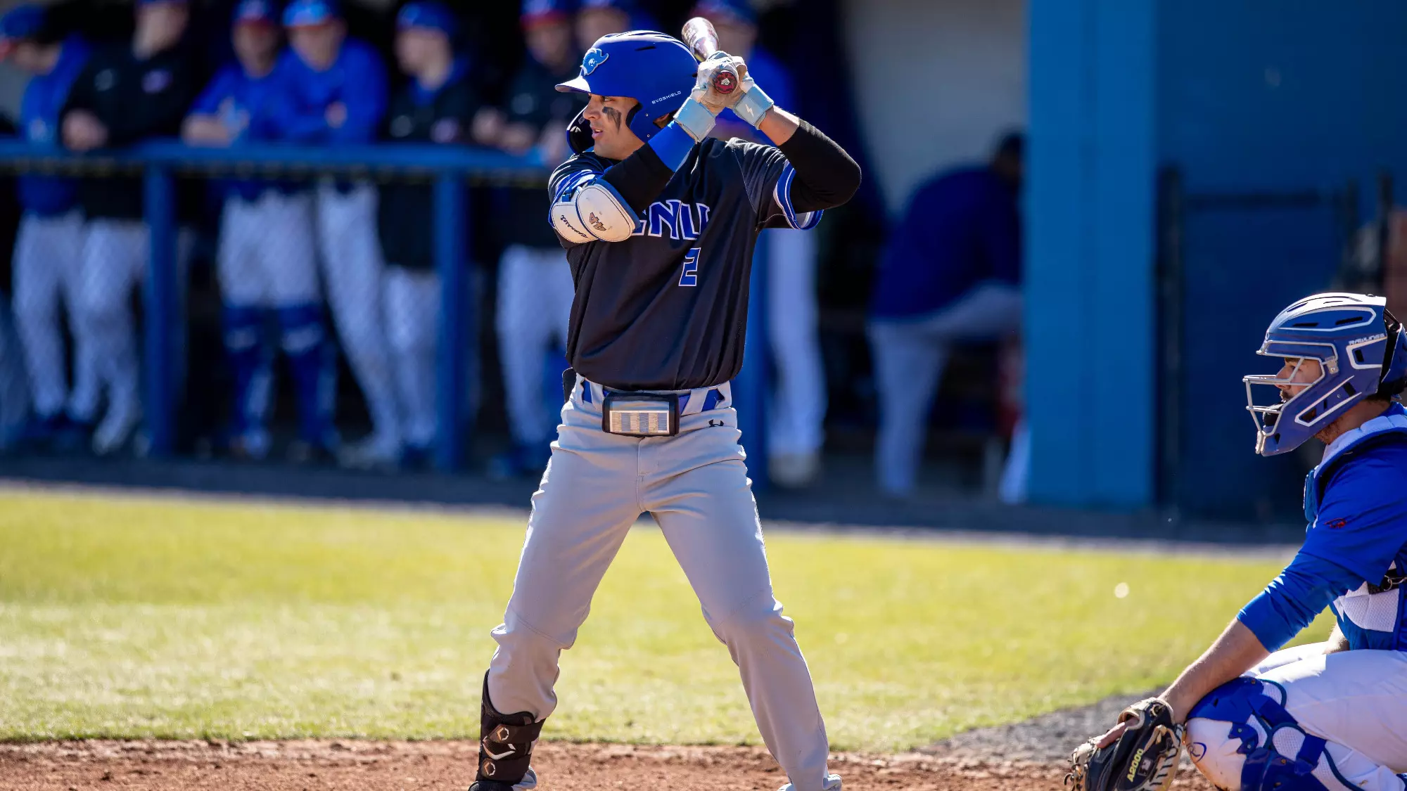 Chris Rasteil Baseball No. 10 CNU Baseball Rolls to 10-1 Win on the Road Against Pfeiffer ...